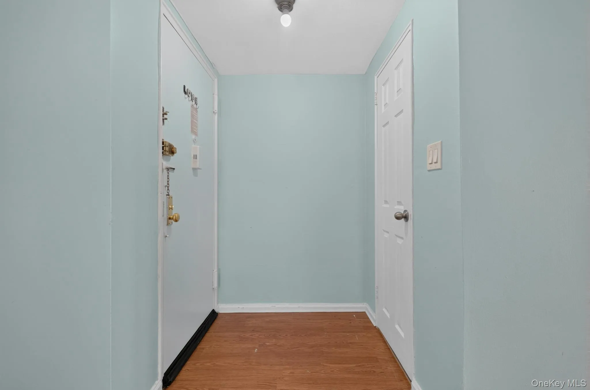 Entryway featuring wood-finish flooring, light blue wall paint, and white trim Entryway featuring wood-finish flooring, light blue wall paint, and white trim