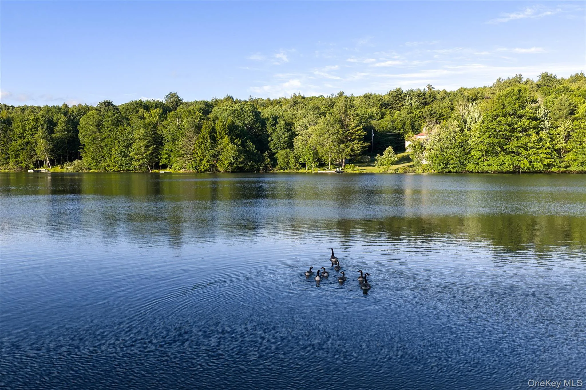 135 Sparrowhawk Lake Road, Out Of Area, NY, 4 Bedrooms Bedrooms, 14 Rooms Rooms,3 BathroomsBathrooms,Residential,For Rent,Sparrowhawk Lake,0,1021177 135 Sparrowhawk Lake Road, Out Of Area, NY, 4 Bedrooms Bedrooms, 14 Rooms Rooms,3 BathroomsBathrooms,Residential,For Rent,Sparrowhawk Lake,0,1021177