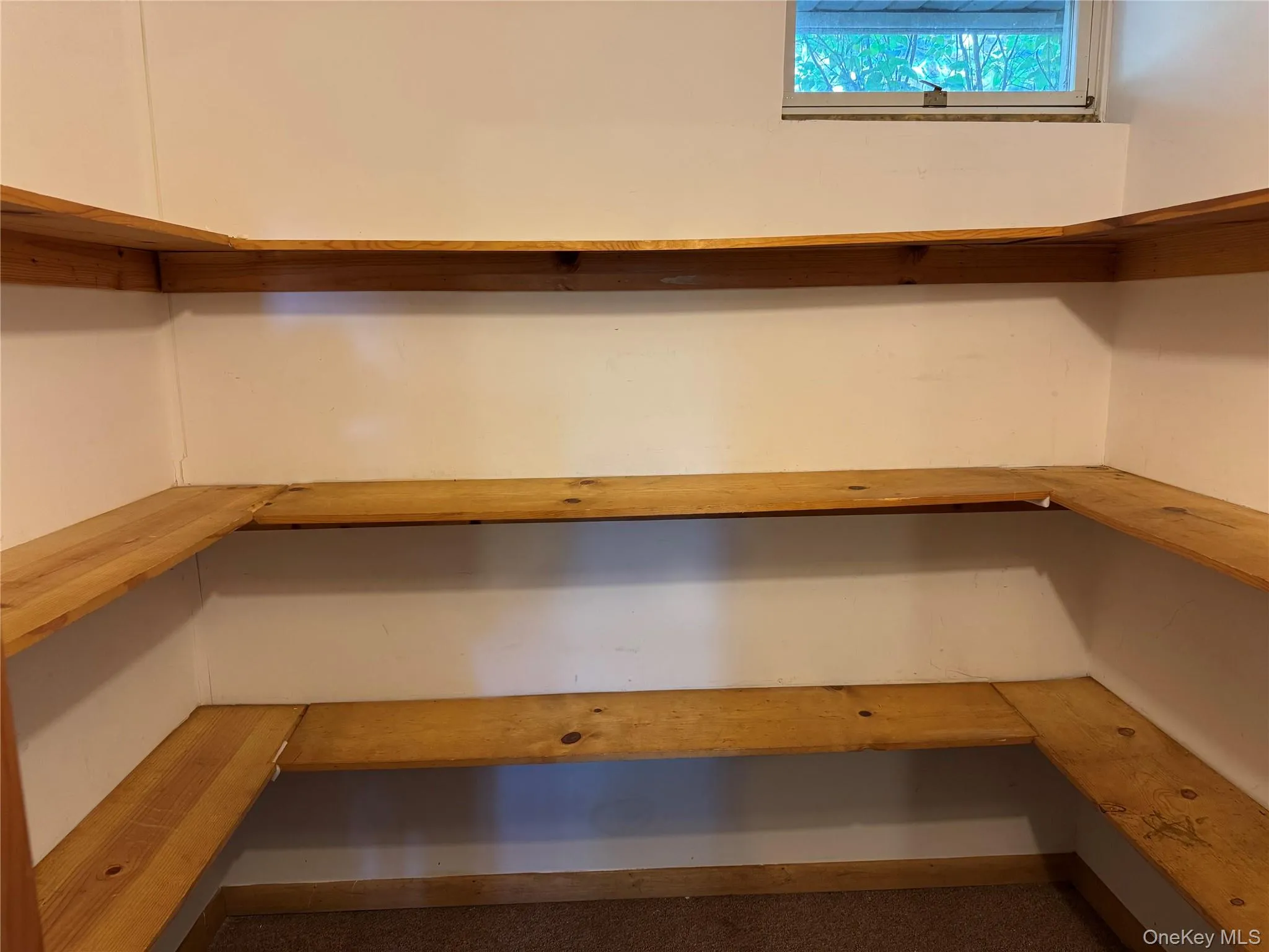 Lower level pantry. Lower level pantry.
