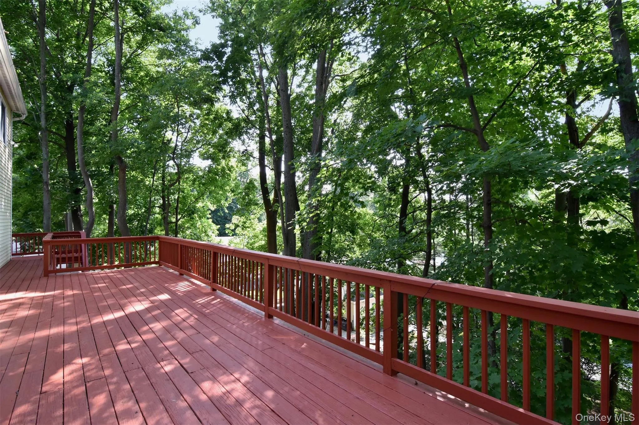 View 2 wooded backyard. Very private! View 2 wooded backyard. Very private!