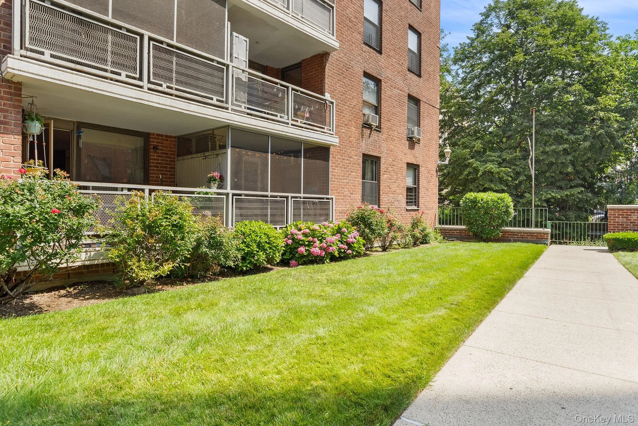 61-35 98 Street, New York, NY, 3 Bedrooms Bedrooms, 6 Rooms Rooms,2 BathroomsBathrooms,Residential,For Rent,98,0,1021219 61-35 98 Street, New York, NY, 3 Bedrooms Bedrooms, 6 Rooms Rooms,2 BathroomsBathrooms,Residential,For Rent,98,0,1021219