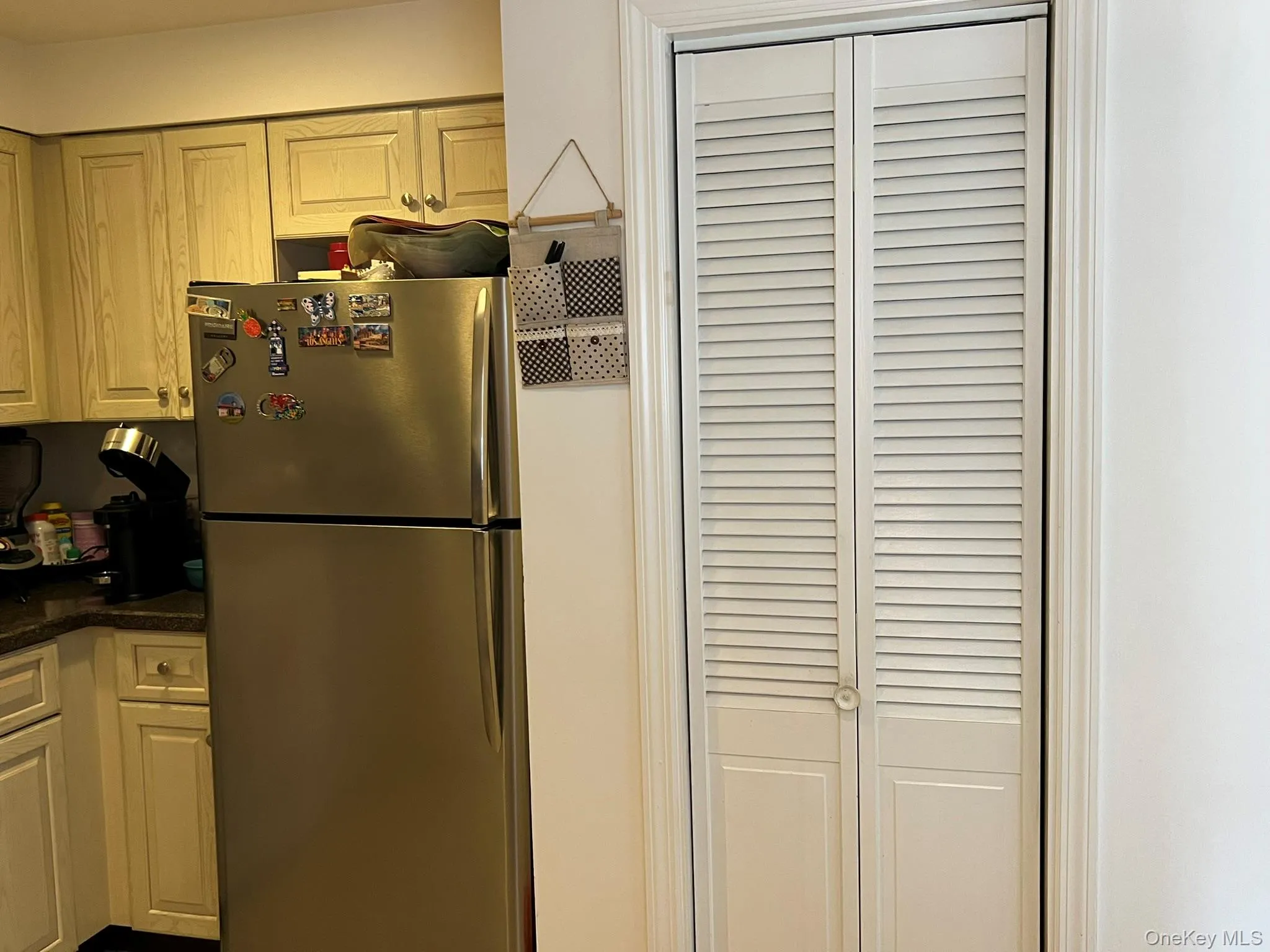 Stainless refrig and pantry closet. Stainless refrig and pantry closet.