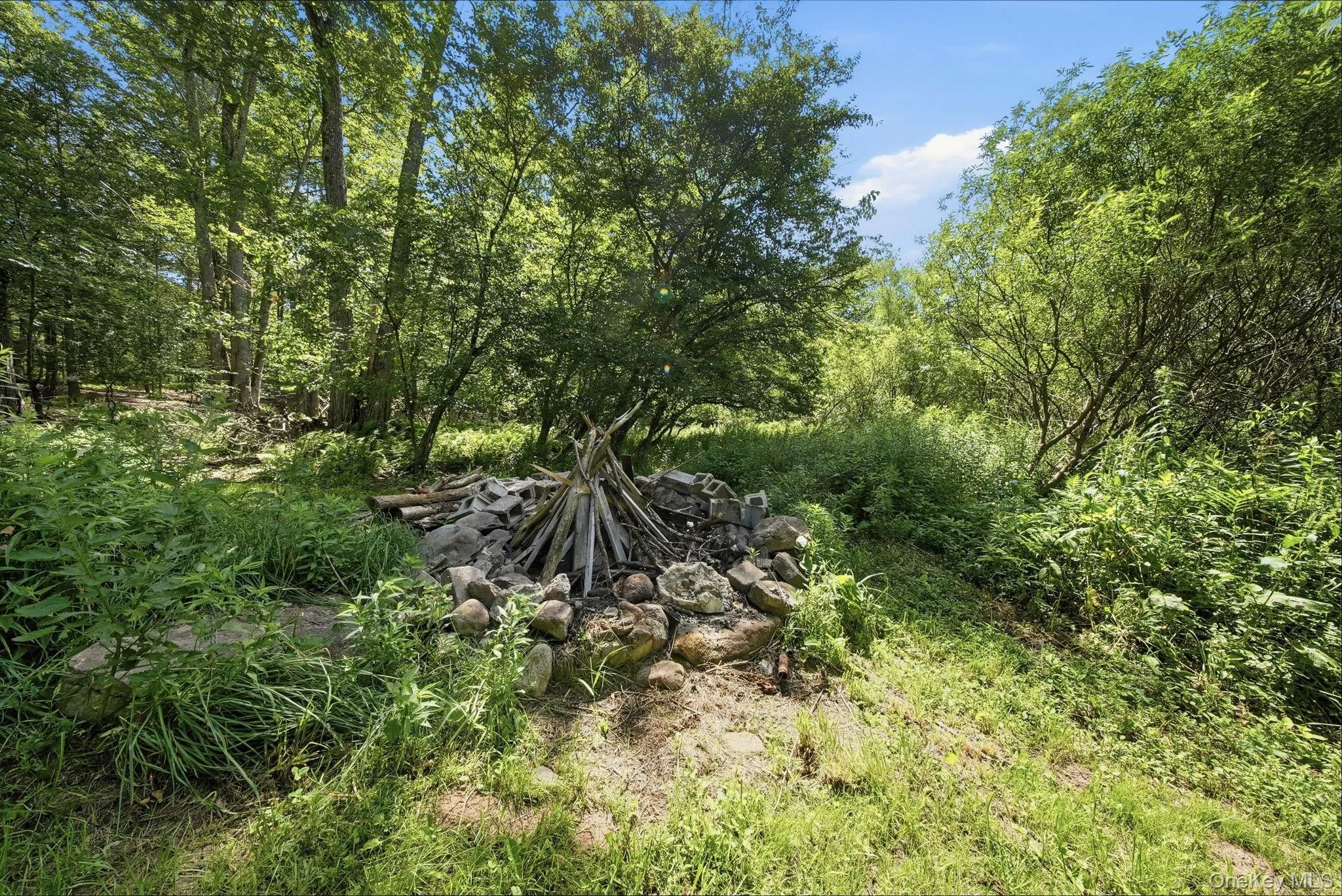 64 & 68 Mineral Springs Road, Liberty, NY, 4 Bedrooms Bedrooms, 8 Rooms Rooms,2 BathroomsBathrooms,Residential,For Rent,Mineral Springs,0,1021260 64 & 68 Mineral Springs Road, Liberty, NY, 4 Bedrooms Bedrooms, 8 Rooms Rooms,2 BathroomsBathrooms,Residential,For Rent,Mineral Springs,0,1021260