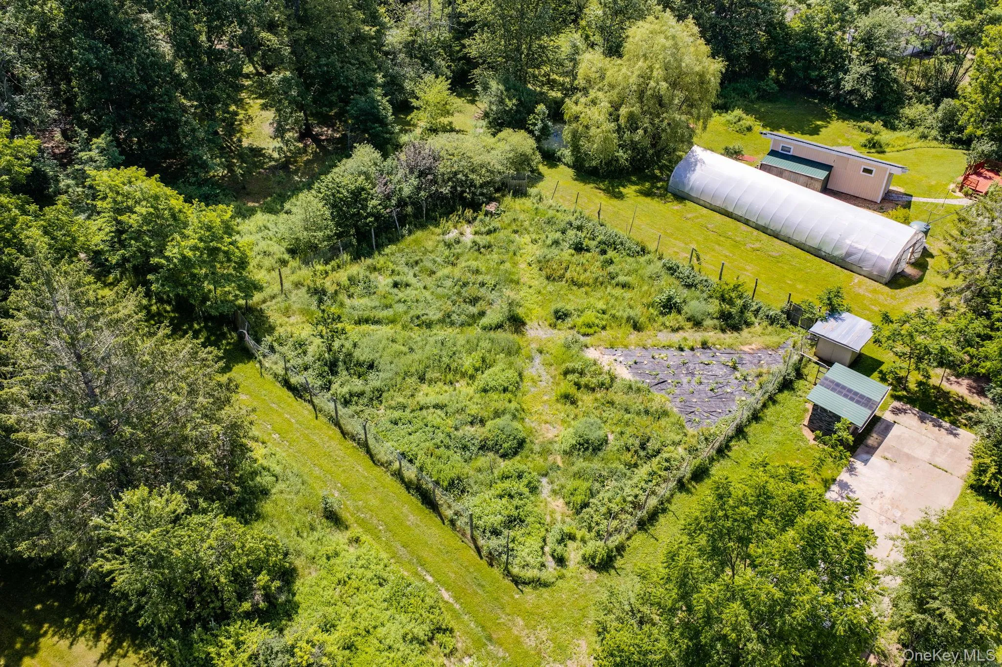 64 & 68 Mineral Springs Road, Liberty, NY, 4 Bedrooms Bedrooms, 8 Rooms Rooms,2 BathroomsBathrooms,Residential,For Rent,Mineral Springs,0,1021260 64 & 68 Mineral Springs Road, Liberty, NY, 4 Bedrooms Bedrooms, 8 Rooms Rooms,2 BathroomsBathrooms,Residential,For Rent,Mineral Springs,0,1021260