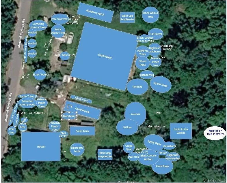 64 & 68 Mineral Springs Road, Liberty, NY, 4 Bedrooms Bedrooms, 8 Rooms Rooms,2 BathroomsBathrooms,Residential,For Rent,Mineral Springs,0,1021260 64 & 68 Mineral Springs Road, Liberty, NY, 4 Bedrooms Bedrooms, 8 Rooms Rooms,2 BathroomsBathrooms,Residential,For Rent,Mineral Springs,0,1021260