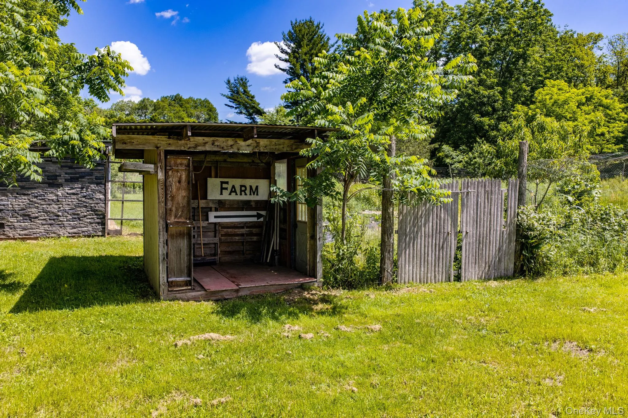 64 & 68 Mineral Springs Road, Liberty, NY, 4 Bedrooms Bedrooms, 8 Rooms Rooms,2 BathroomsBathrooms,Residential,For Rent,Mineral Springs,0,1021260 64 & 68 Mineral Springs Road, Liberty, NY, 4 Bedrooms Bedrooms, 8 Rooms Rooms,2 BathroomsBathrooms,Residential,For Rent,Mineral Springs,0,1021260