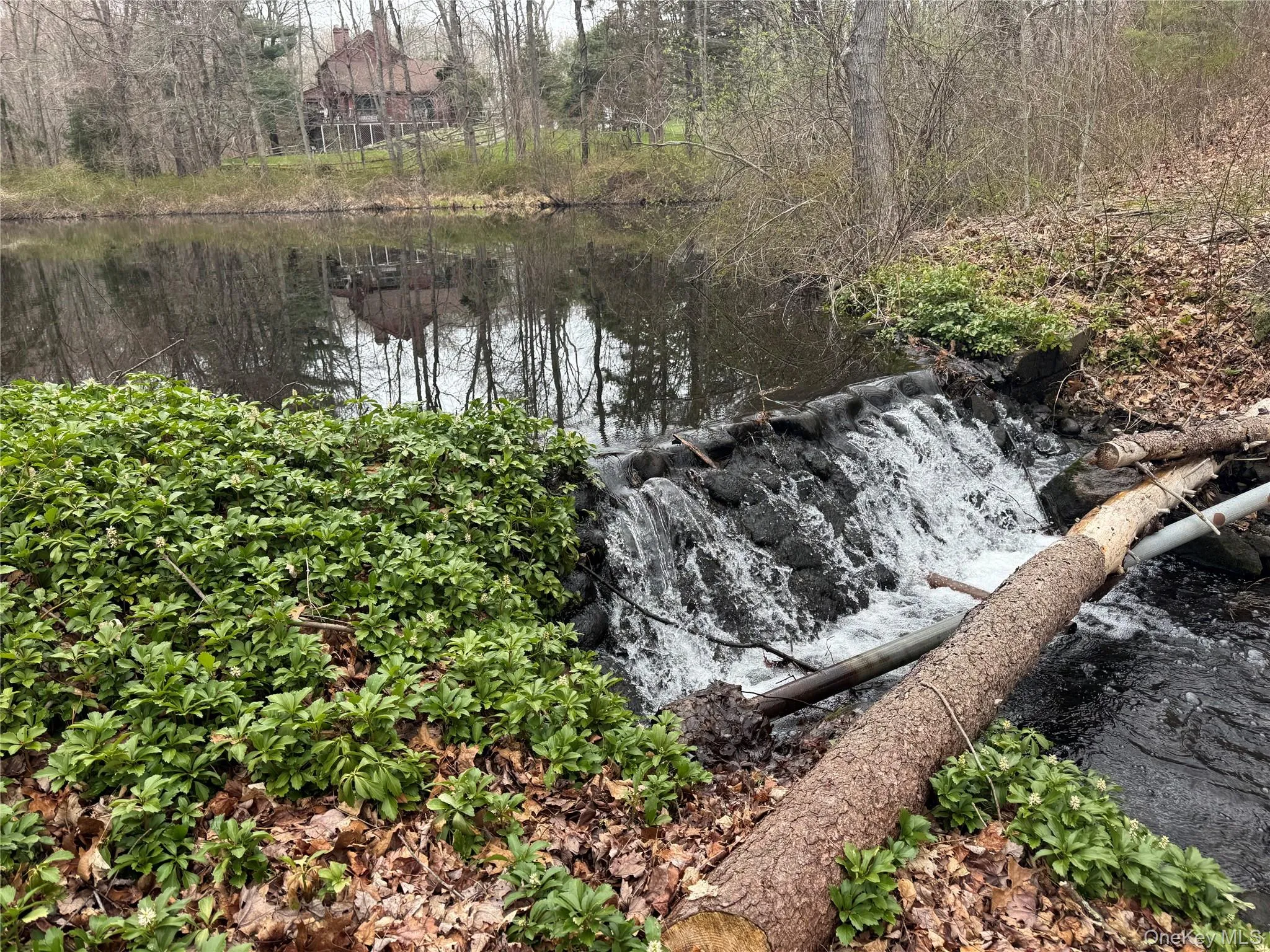 10A Clearwater Lane, Pound Ridge, NY, 1 Bedroom Bedrooms, 2 Rooms Rooms,1 BathroomBathrooms,Residential Lease,For Rent,Clearwater,0,1021283 10A Clearwater Lane, Pound Ridge, NY, 1 Bedroom Bedrooms, 2 Rooms Rooms,1 BathroomBathrooms,Residential Lease,For Rent,Clearwater,0,1021283