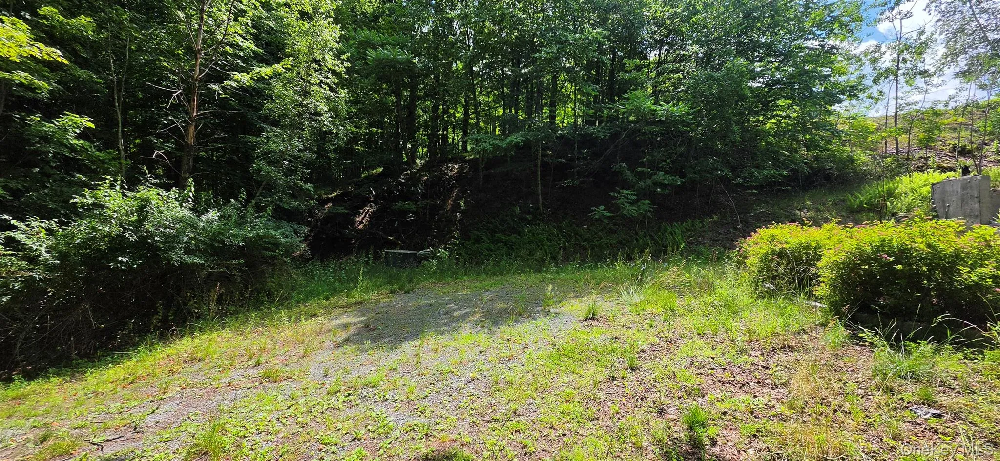 290 Cypert Road, Fallsburg, NY, ,Land,For Rent,Cypert,0,1021333 290 Cypert Road, Fallsburg, NY, ,Land,For Rent,Cypert,0,1021333