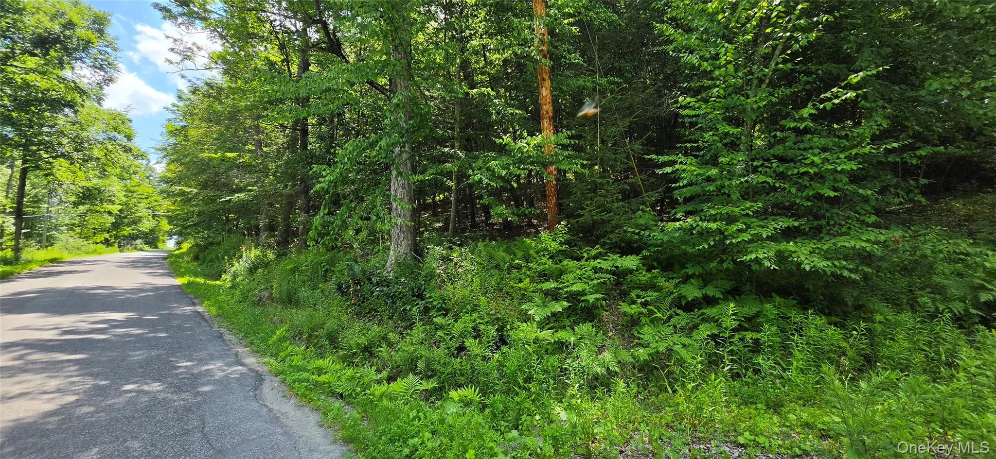 290 Cypert Road, Fallsburg, NY, ,Land,For Rent,Cypert,0,1021333 290 Cypert Road, Fallsburg, NY, ,Land,For Rent,Cypert,0,1021333
