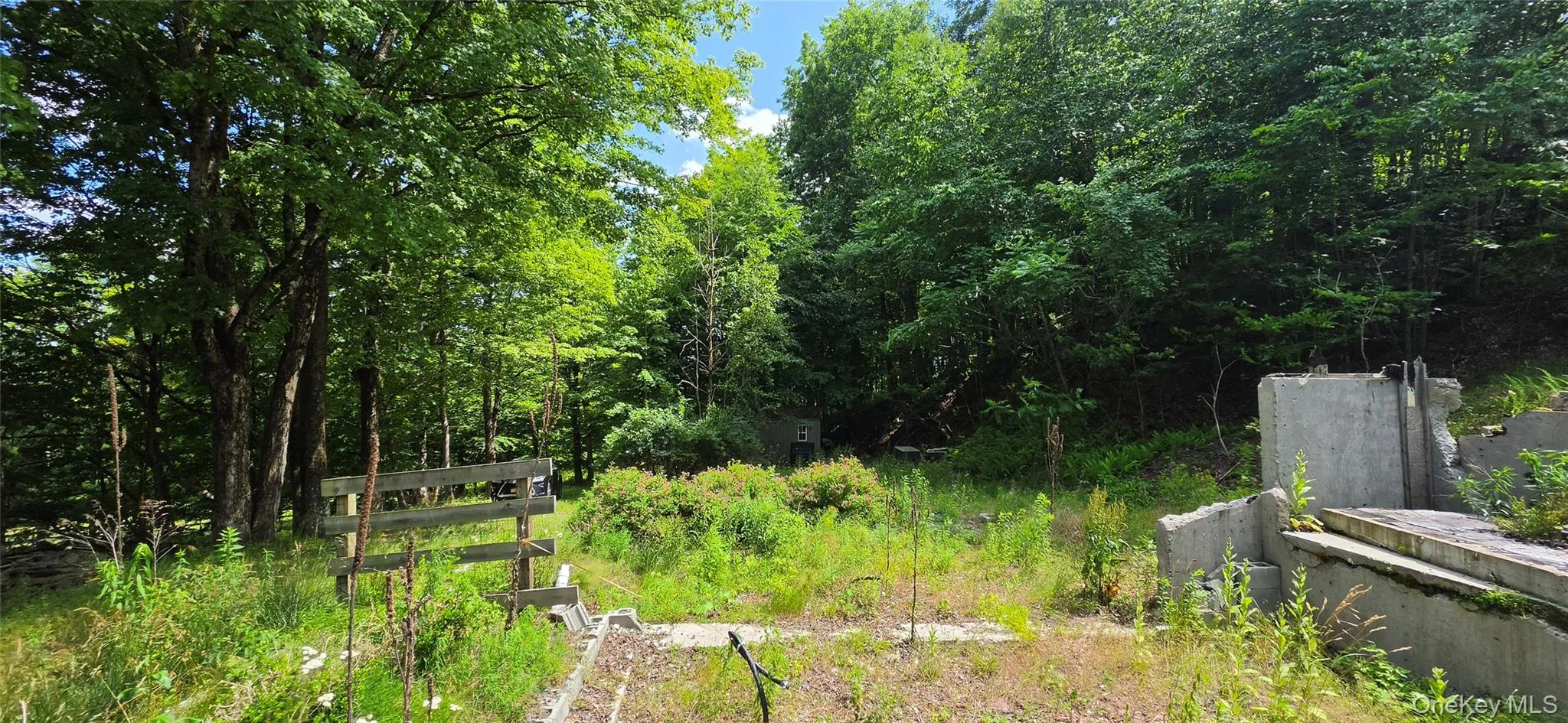 290 Cypert Road, Fallsburg, NY, ,Land,For Rent,Cypert,0,1021333 290 Cypert Road, Fallsburg, NY, ,Land,For Rent,Cypert,0,1021333