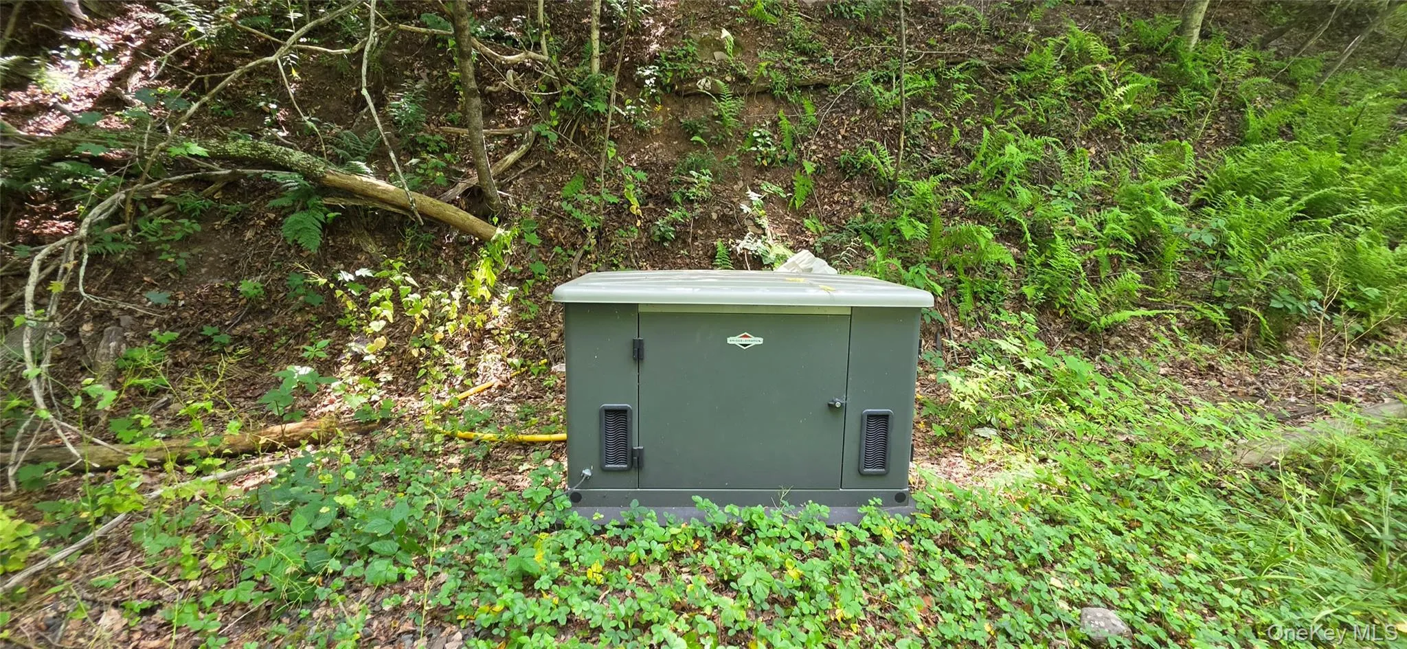 290 Cypert Road, Fallsburg, NY, ,Land,For Rent,Cypert,0,1021333 290 Cypert Road, Fallsburg, NY, ,Land,For Rent,Cypert,0,1021333