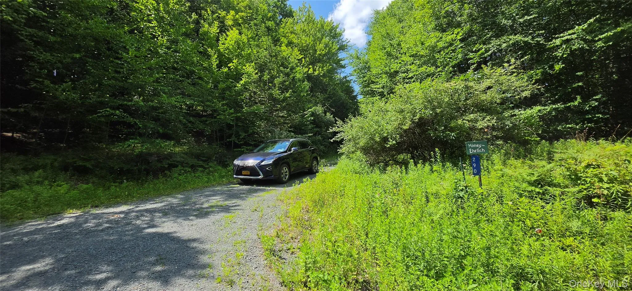 290 Cypert Road, Fallsburg, NY, ,Land,For Rent,Cypert,0,1021333 290 Cypert Road, Fallsburg, NY, ,Land,For Rent,Cypert,0,1021333