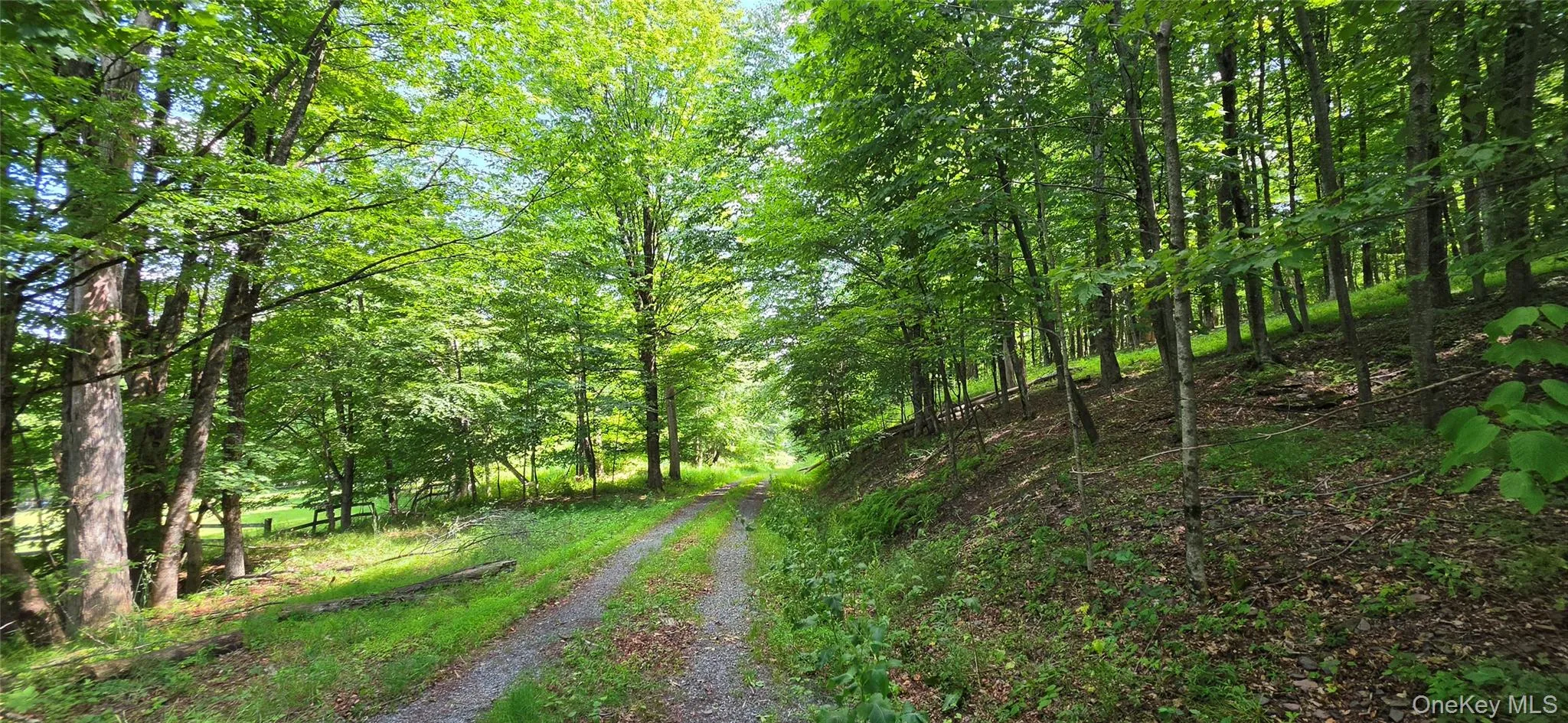 290 Cypert Road, Fallsburg, NY, ,Land,For Rent,Cypert,0,1021333 290 Cypert Road, Fallsburg, NY, ,Land,For Rent,Cypert,0,1021333