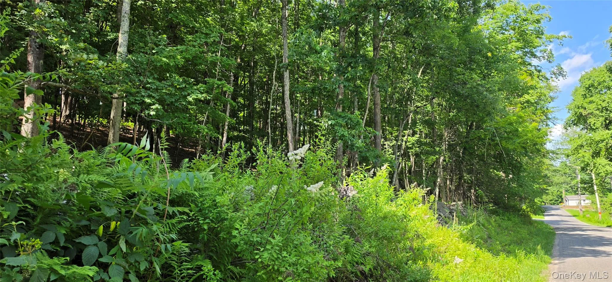 290 Cypert Road, Fallsburg, NY, ,Land,For Rent,Cypert,0,1021333 290 Cypert Road, Fallsburg, NY, ,Land,For Rent,Cypert,0,1021333