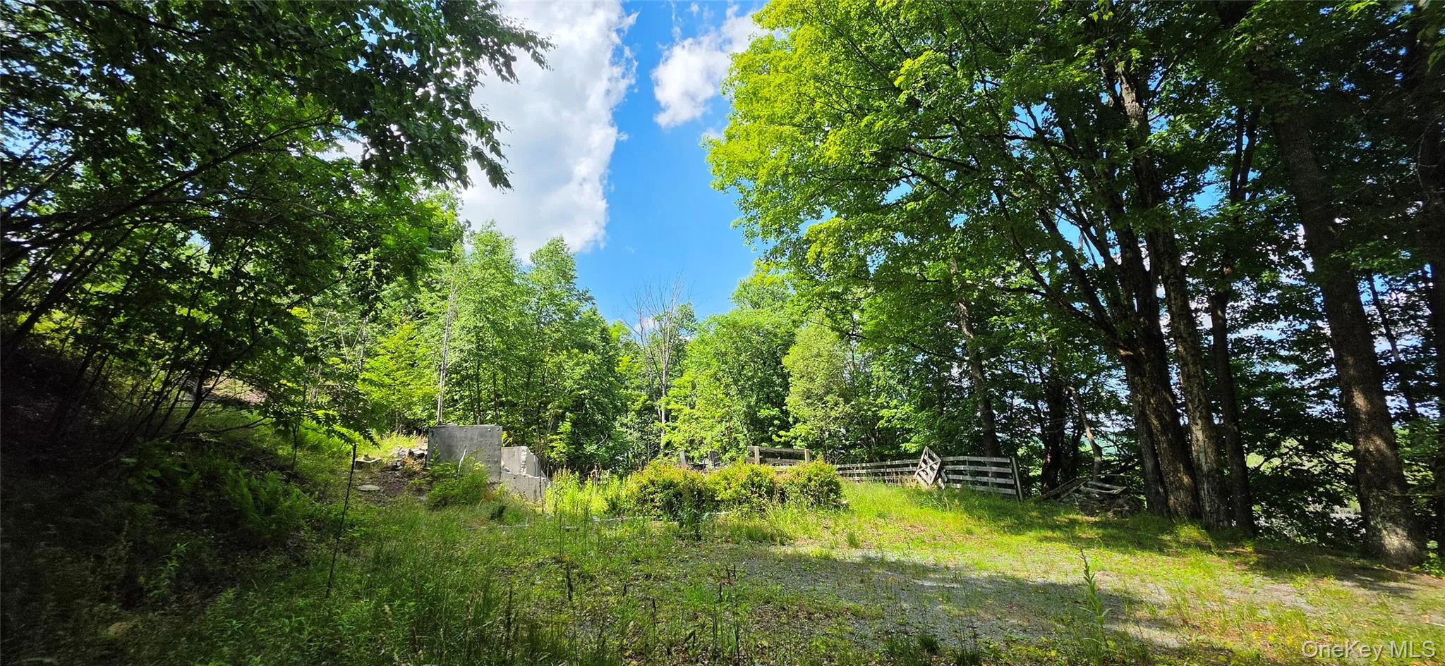 290 Cypert Road, Fallsburg, NY, ,Land,For Rent,Cypert,0,1021333 290 Cypert Road, Fallsburg, NY, ,Land,For Rent,Cypert,0,1021333