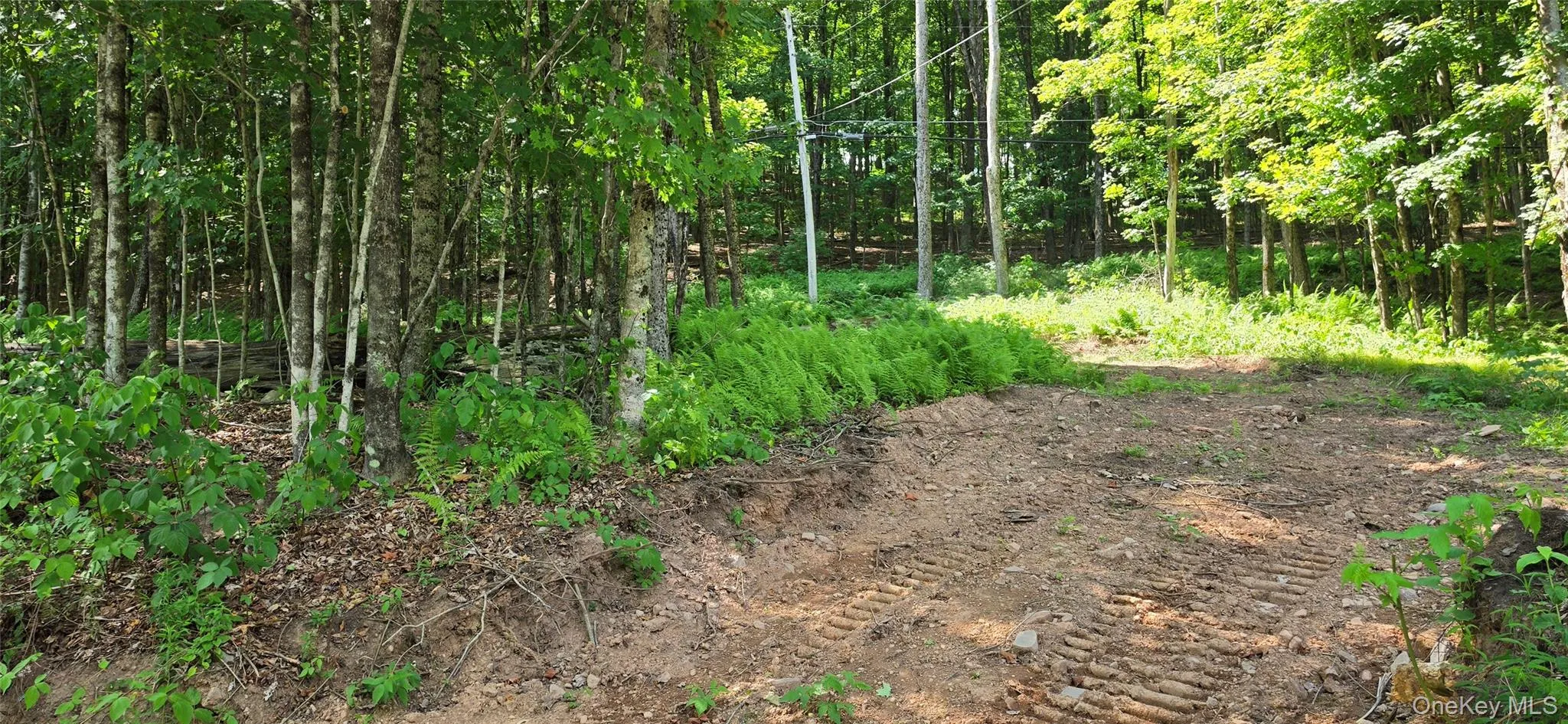 290 Cypert Road, Fallsburg, NY, ,Land,For Rent,Cypert,0,1021333 290 Cypert Road, Fallsburg, NY, ,Land,For Rent,Cypert,0,1021333
