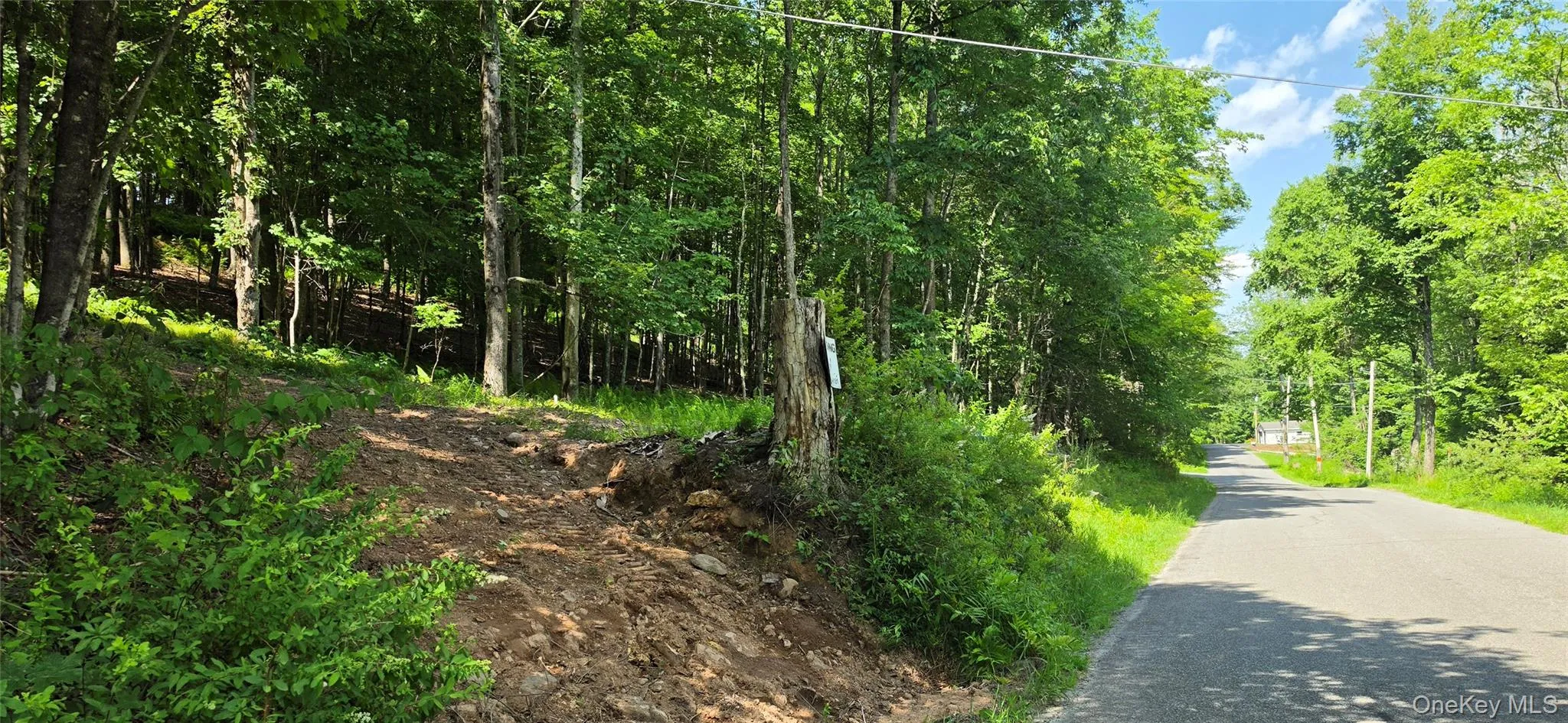 290 Cypert Road, Fallsburg, NY, ,Land,For Rent,Cypert,0,1021333 290 Cypert Road, Fallsburg, NY, ,Land,For Rent,Cypert,0,1021333