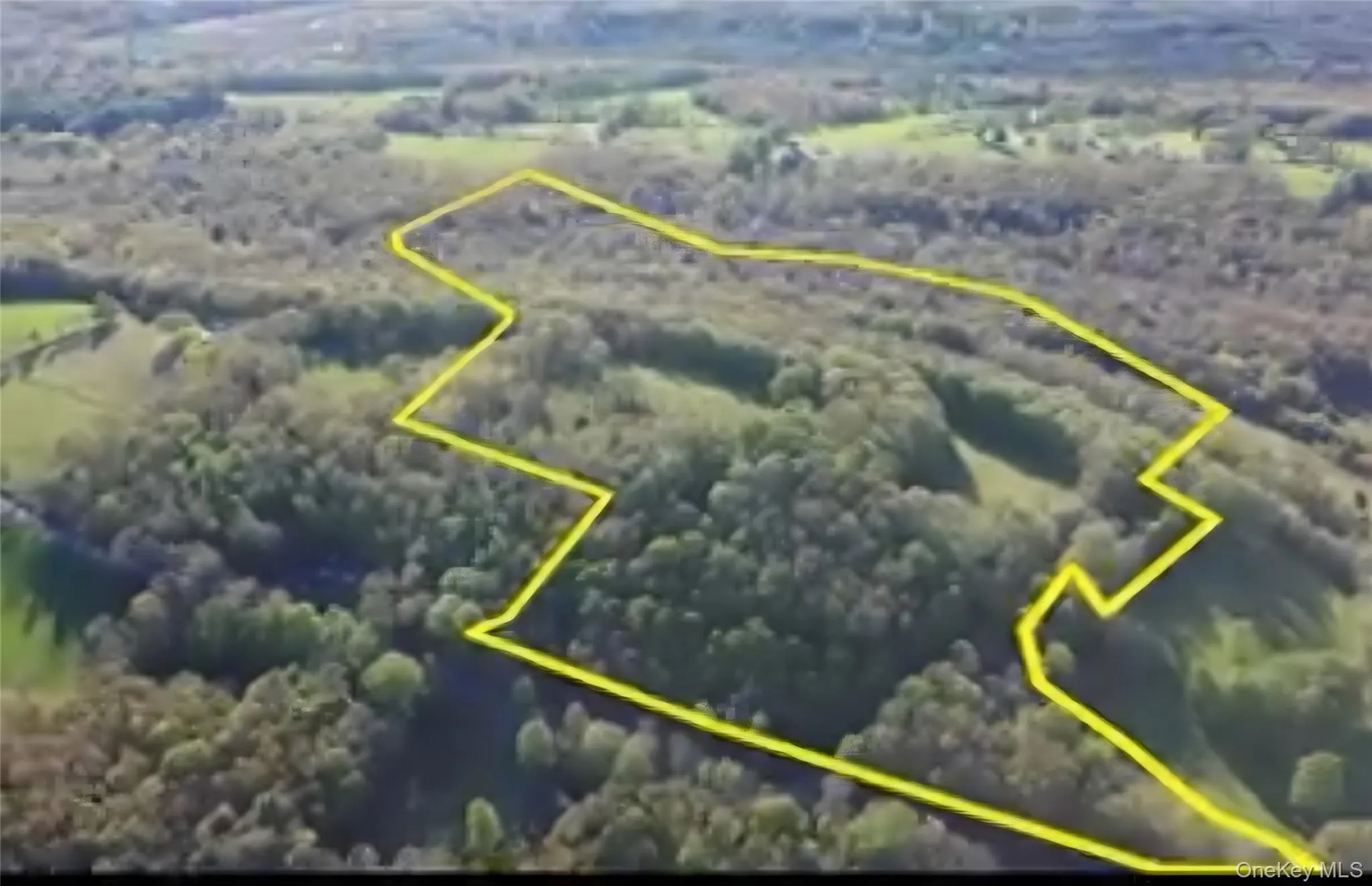 290 Cypert Road, Fallsburg, NY, ,Land,For Rent,Cypert,0,1021333 290 Cypert Road, Fallsburg, NY, ,Land,For Rent,Cypert,0,1021333