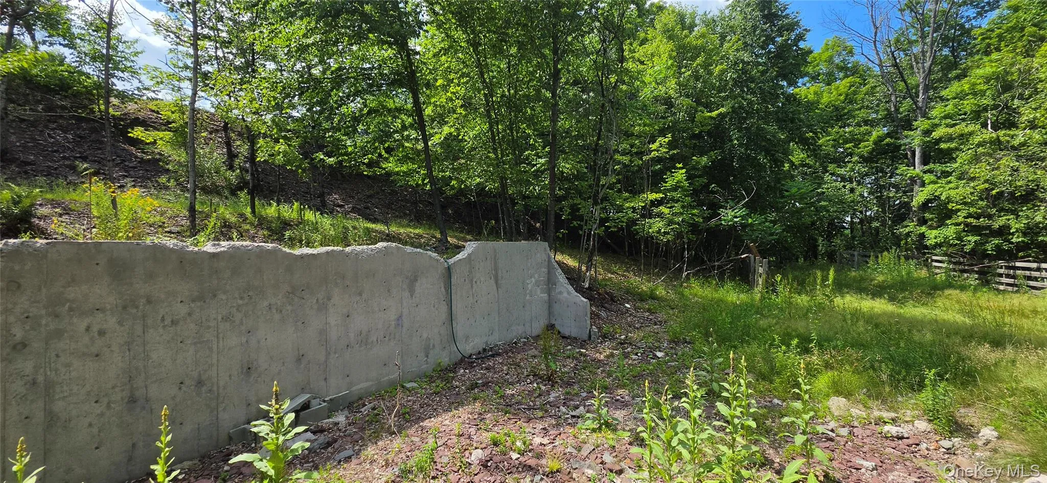 290 Cypert Road, Fallsburg, NY, ,Land,For Rent,Cypert,0,1021333 290 Cypert Road, Fallsburg, NY, ,Land,For Rent,Cypert,0,1021333