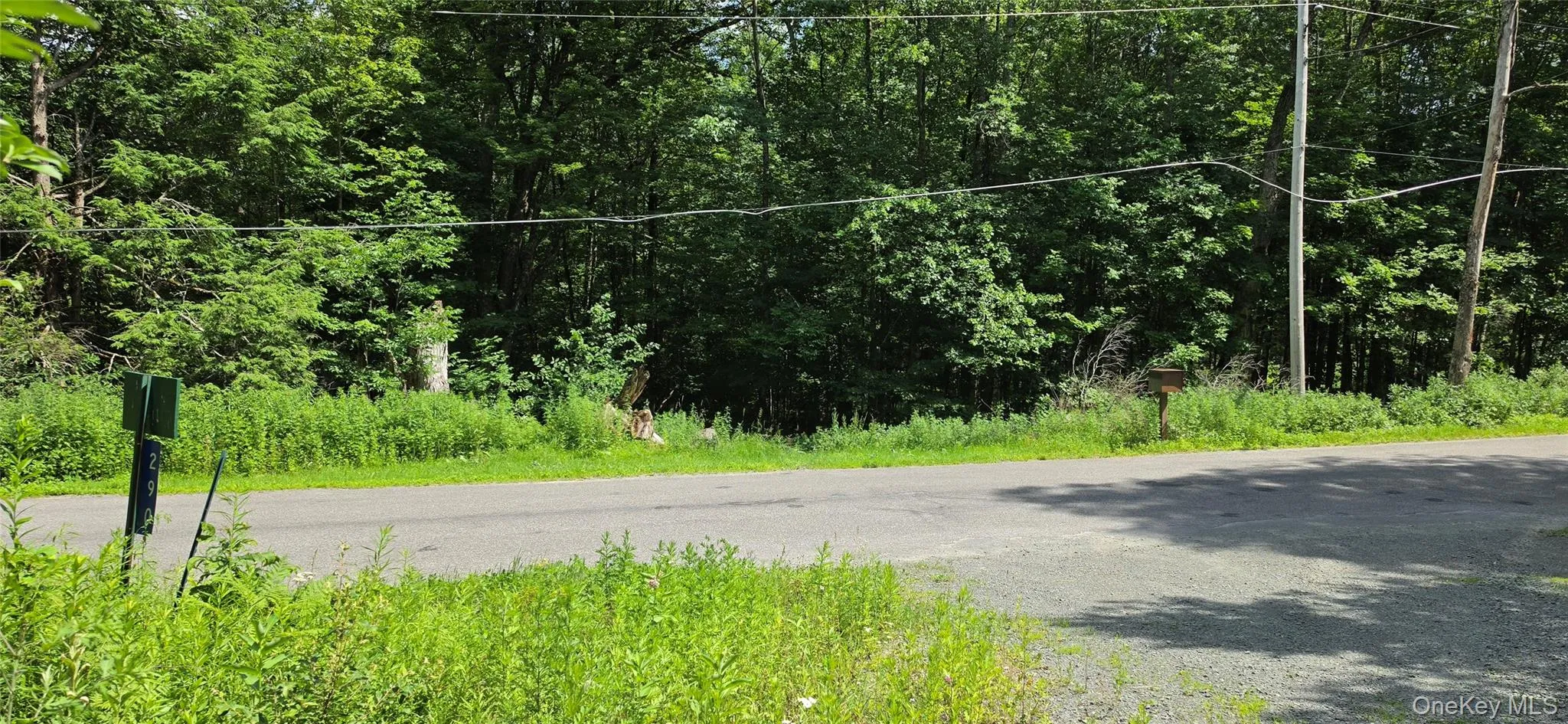 290 Cypert Road, Fallsburg, NY, ,Land,For Rent,Cypert,0,1021333 290 Cypert Road, Fallsburg, NY, ,Land,For Rent,Cypert,0,1021333