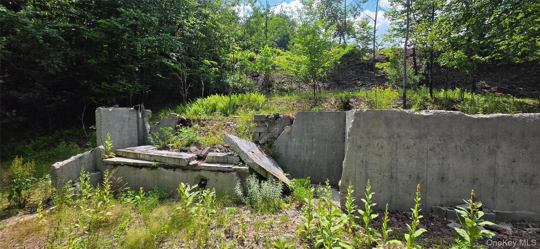 290 Cypert Road, Fallsburg, NY, ,Land,For Rent,Cypert,0,1021333 290 Cypert Road, Fallsburg, NY, ,Land,For Rent,Cypert,0,1021333
