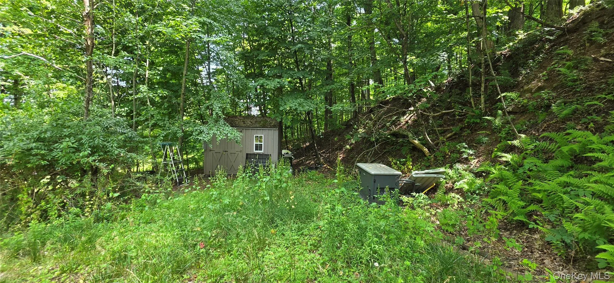 290 Cypert Road, Fallsburg, NY, ,Land,For Rent,Cypert,0,1021333 290 Cypert Road, Fallsburg, NY, ,Land,For Rent,Cypert,0,1021333