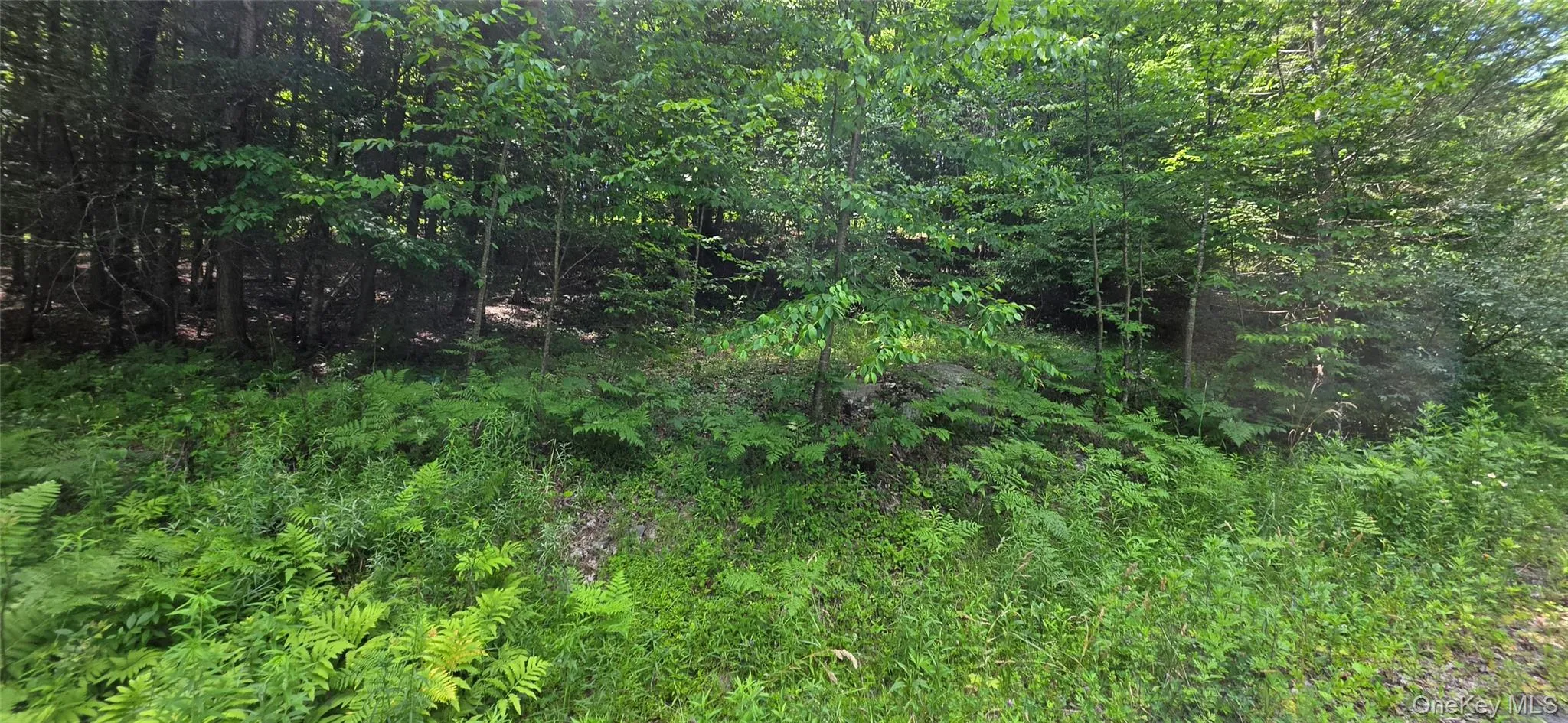 290 Cypert Road, Fallsburg, NY, ,Land,For Rent,Cypert,0,1021333 290 Cypert Road, Fallsburg, NY, ,Land,For Rent,Cypert,0,1021333
