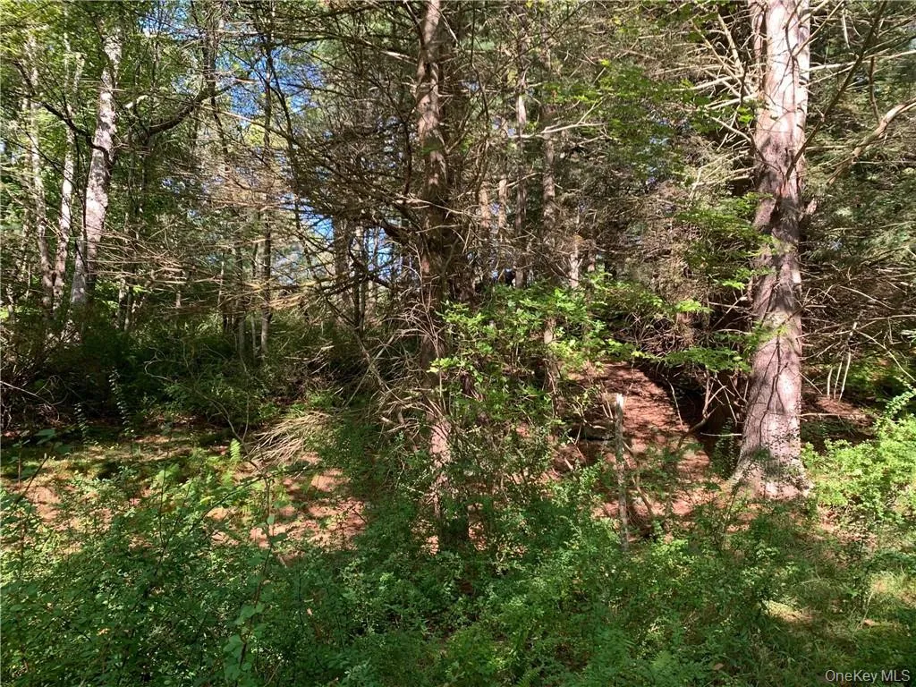 TBD Chapin Trail, Bethel, NY, ,Land,For Rent,Chapin,0,1021388 TBD Chapin Trail, Bethel, NY, ,Land,For Rent,Chapin,0,1021388