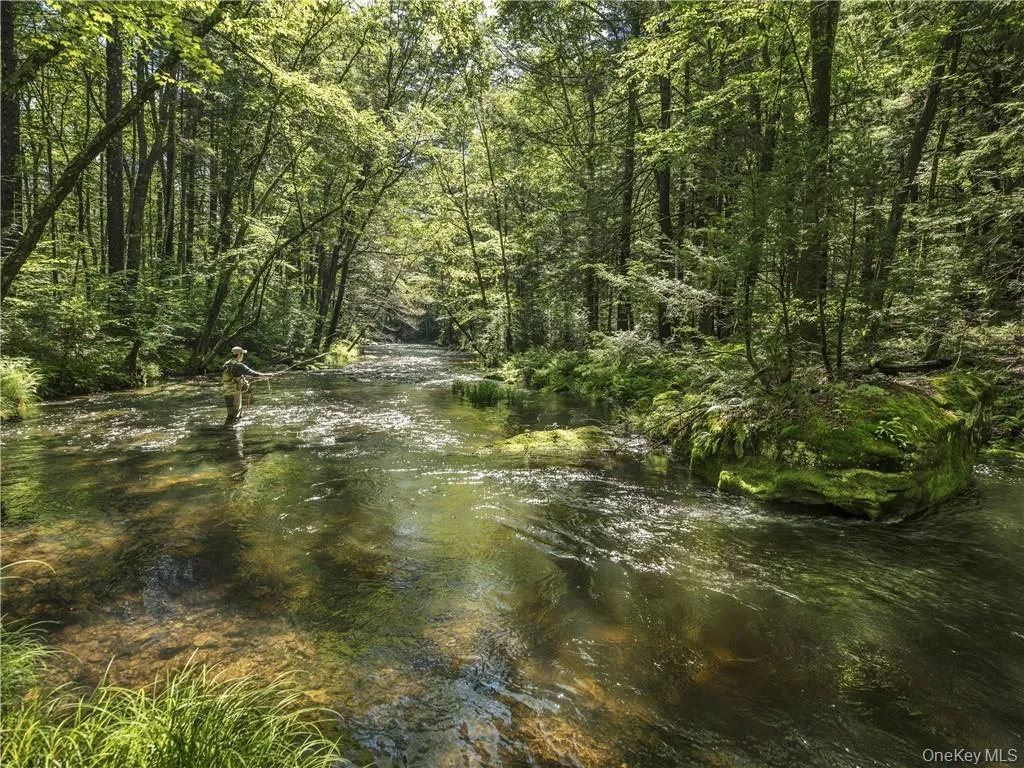 Trout Stream with community access Trout Stream with community access