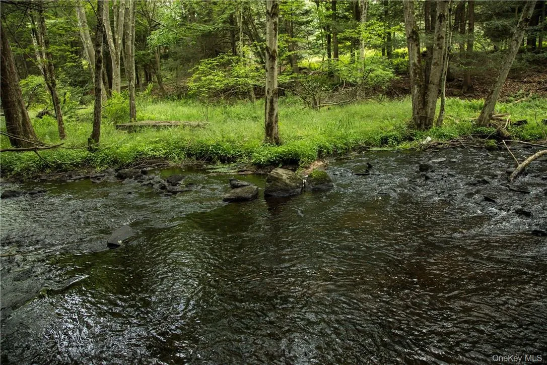 TBD Chapin Trail, Bethel, NY, ,Land,For Rent,Chapin,0,1021388 TBD Chapin Trail, Bethel, NY, ,Land,For Rent,Chapin,0,1021388