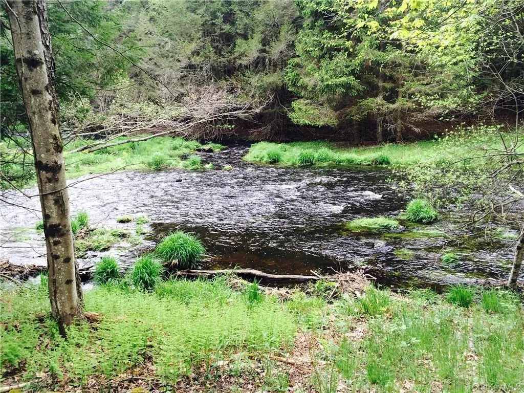 TBD Chapin Trail, Bethel, NY, ,Land,For Rent,Chapin,0,1021388 TBD Chapin Trail, Bethel, NY, ,Land,For Rent,Chapin,0,1021388