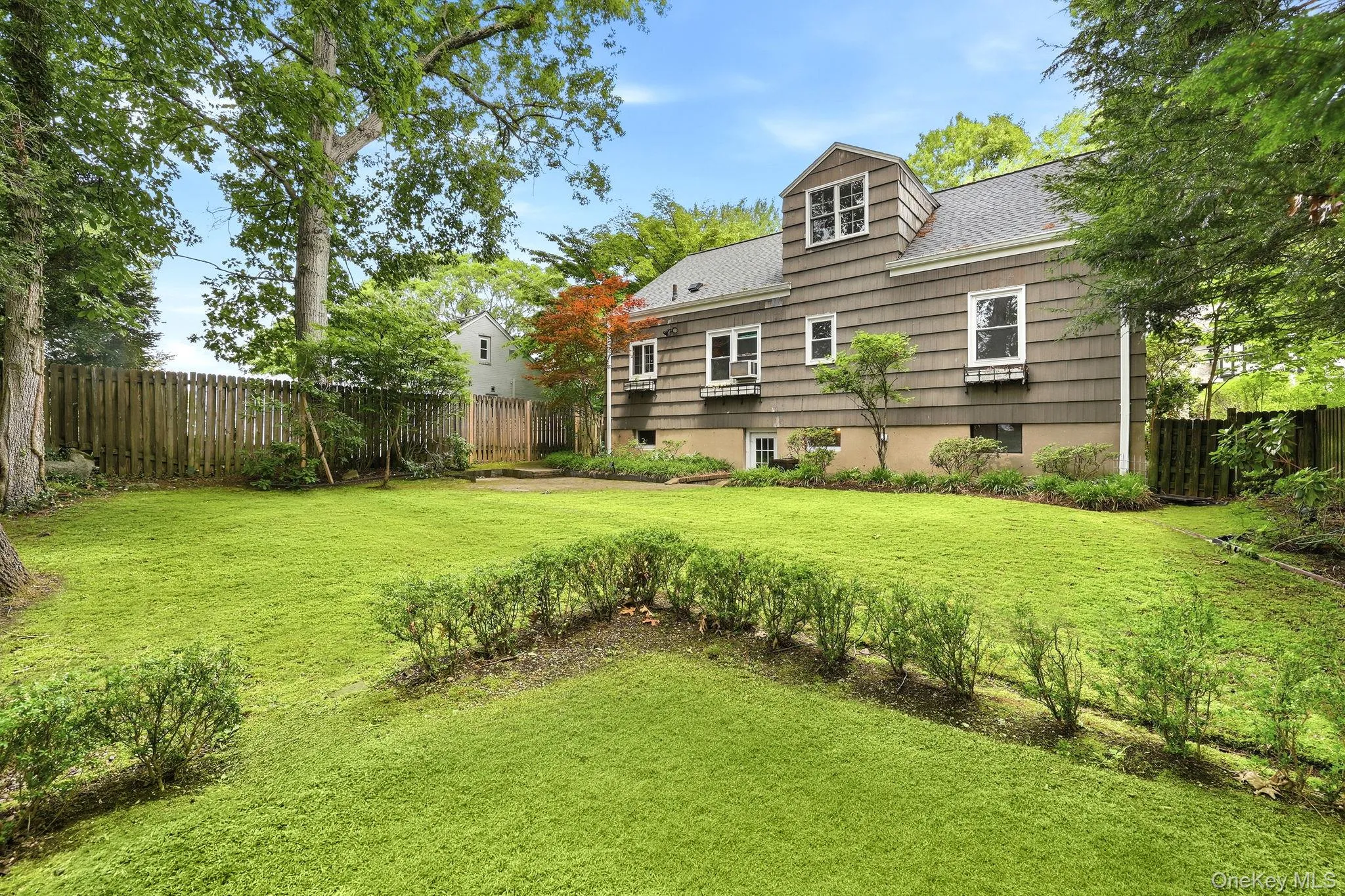 Backyard Backyard