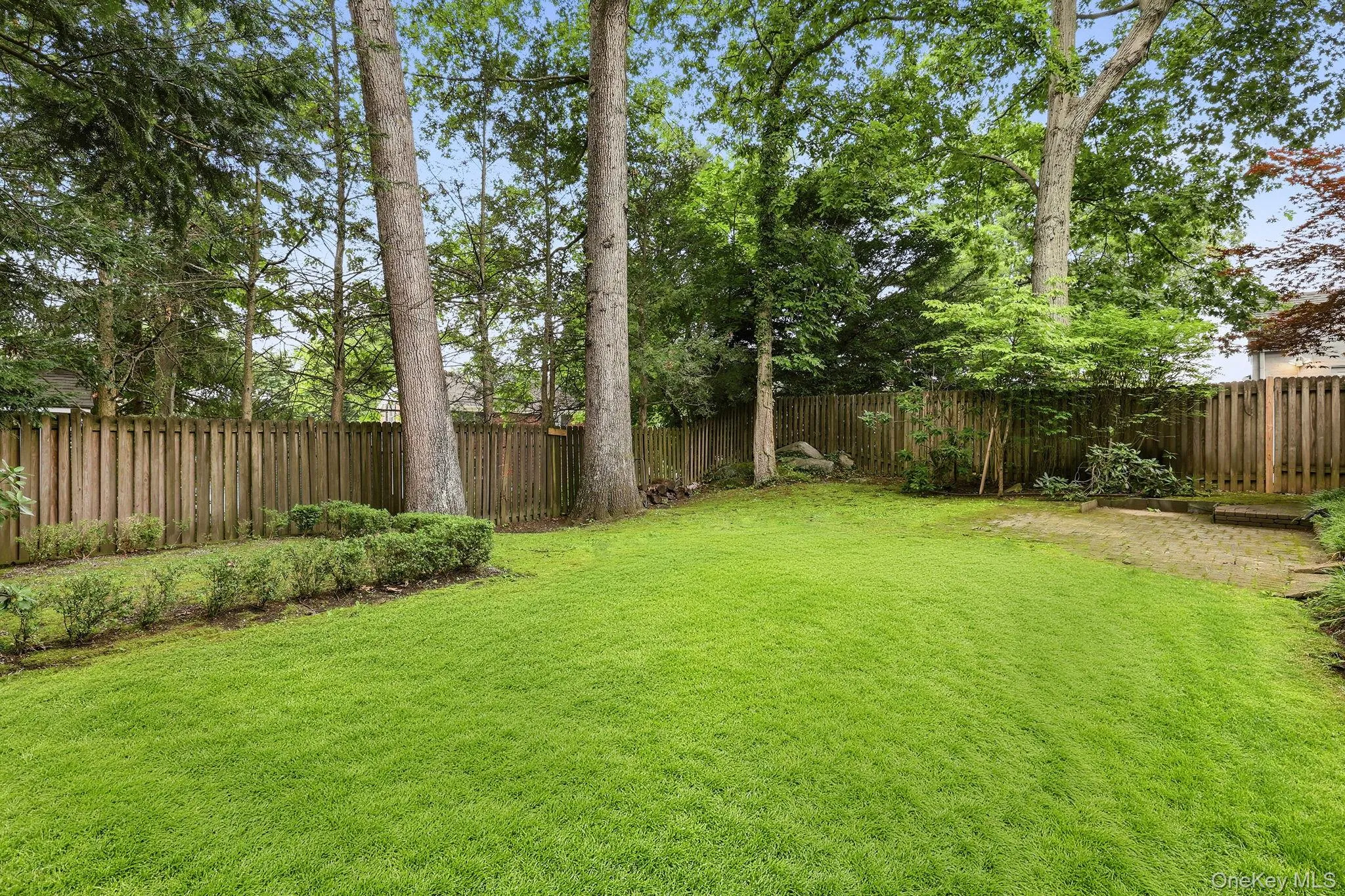 Backyard Backyard