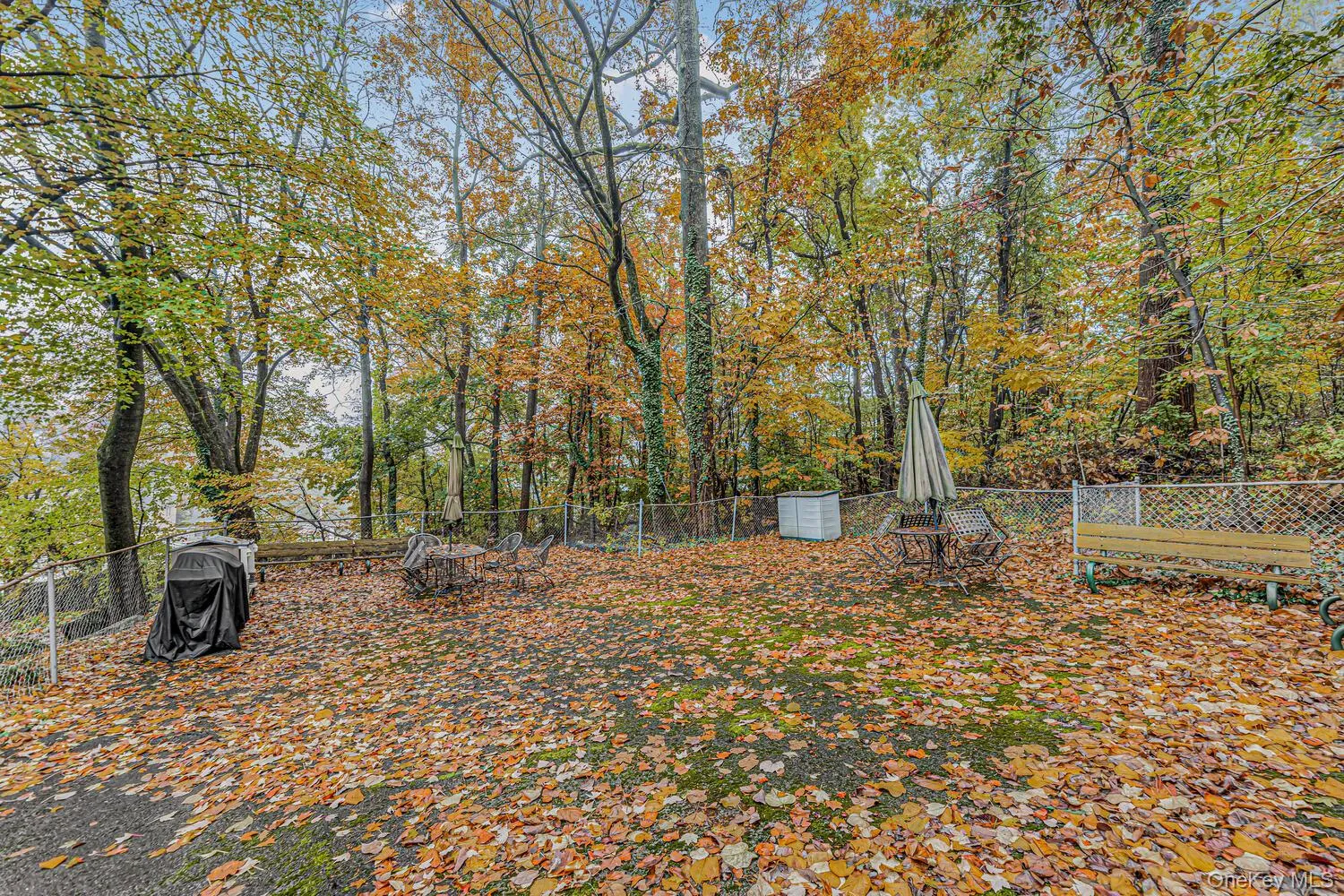 2035 Central Park Avenue, Yonkers, NY, 1 Room Rooms,1 BathroomBathrooms,Residential Lease,For Rent,Central Park,0,1021404 2035 Central Park Avenue, Yonkers, NY, 1 Room Rooms,1 BathroomBathrooms,Residential Lease,For Rent,Central Park,0,1021404