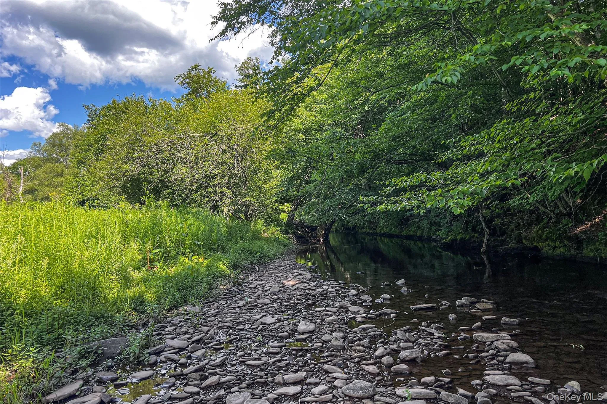 1780 Roses Brook Road, Stamford, NY, 3 Bedrooms Bedrooms, 9 Rooms Rooms,2 BathroomsBathrooms,Residential,For Rent,Roses Brook,0,1021475 1780 Roses Brook Road, Stamford, NY, 3 Bedrooms Bedrooms, 9 Rooms Rooms,2 BathroomsBathrooms,Residential,For Rent,Roses Brook,0,1021475