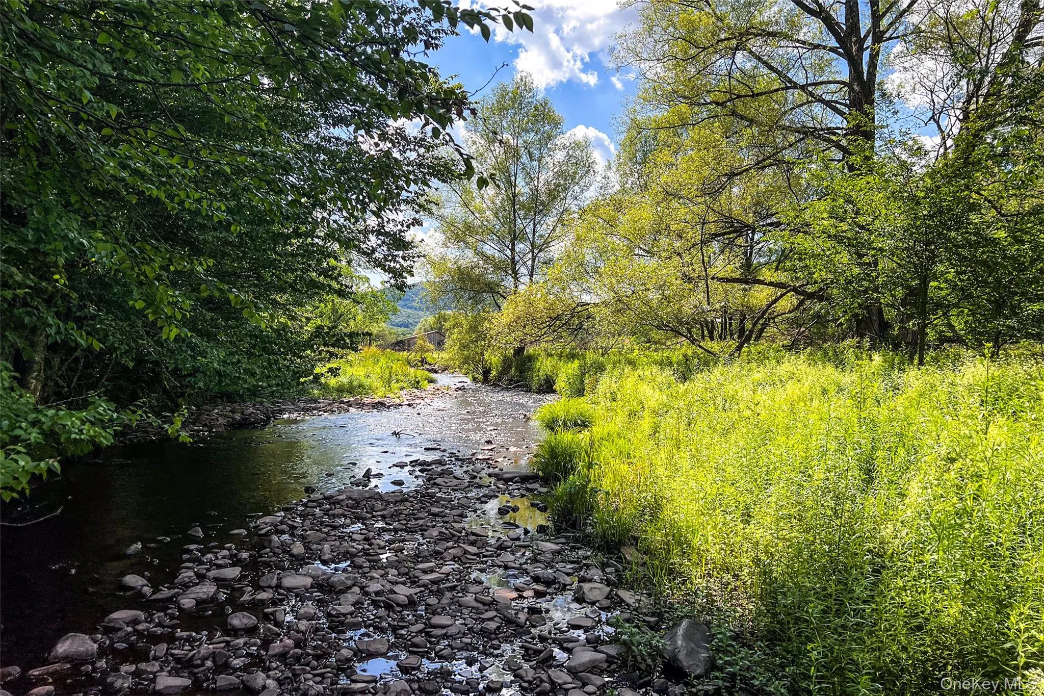 1780 Roses Brook Road, Stamford, NY, 3 Bedrooms Bedrooms, 9 Rooms Rooms,2 BathroomsBathrooms,Residential,For Rent,Roses Brook,0,1021475 1780 Roses Brook Road, Stamford, NY, 3 Bedrooms Bedrooms, 9 Rooms Rooms,2 BathroomsBathrooms,Residential,For Rent,Roses Brook,0,1021475
