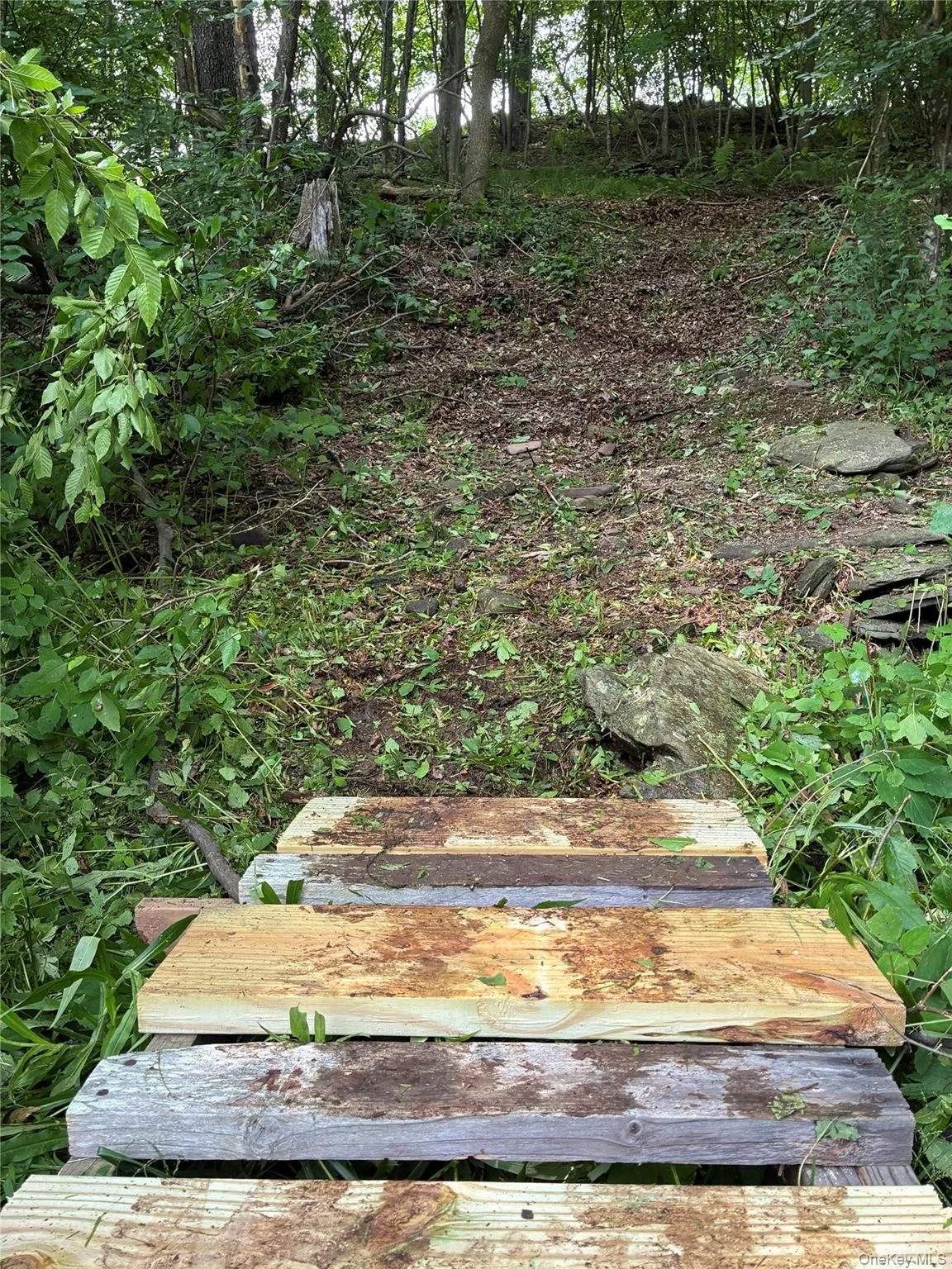 1780 Roses Brook Road, Stamford, NY, 3 Bedrooms Bedrooms, 9 Rooms Rooms,2 BathroomsBathrooms,Residential,For Rent,Roses Brook,0,1021475 1780 Roses Brook Road, Stamford, NY, 3 Bedrooms Bedrooms, 9 Rooms Rooms,2 BathroomsBathrooms,Residential,For Rent,Roses Brook,0,1021475