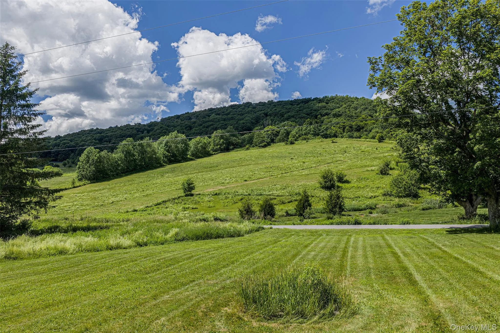 1780 Roses Brook Road, Stamford, NY, 3 Bedrooms Bedrooms, 9 Rooms Rooms,2 BathroomsBathrooms,Residential,For Rent,Roses Brook,0,1021475 1780 Roses Brook Road, Stamford, NY, 3 Bedrooms Bedrooms, 9 Rooms Rooms,2 BathroomsBathrooms,Residential,For Rent,Roses Brook,0,1021475