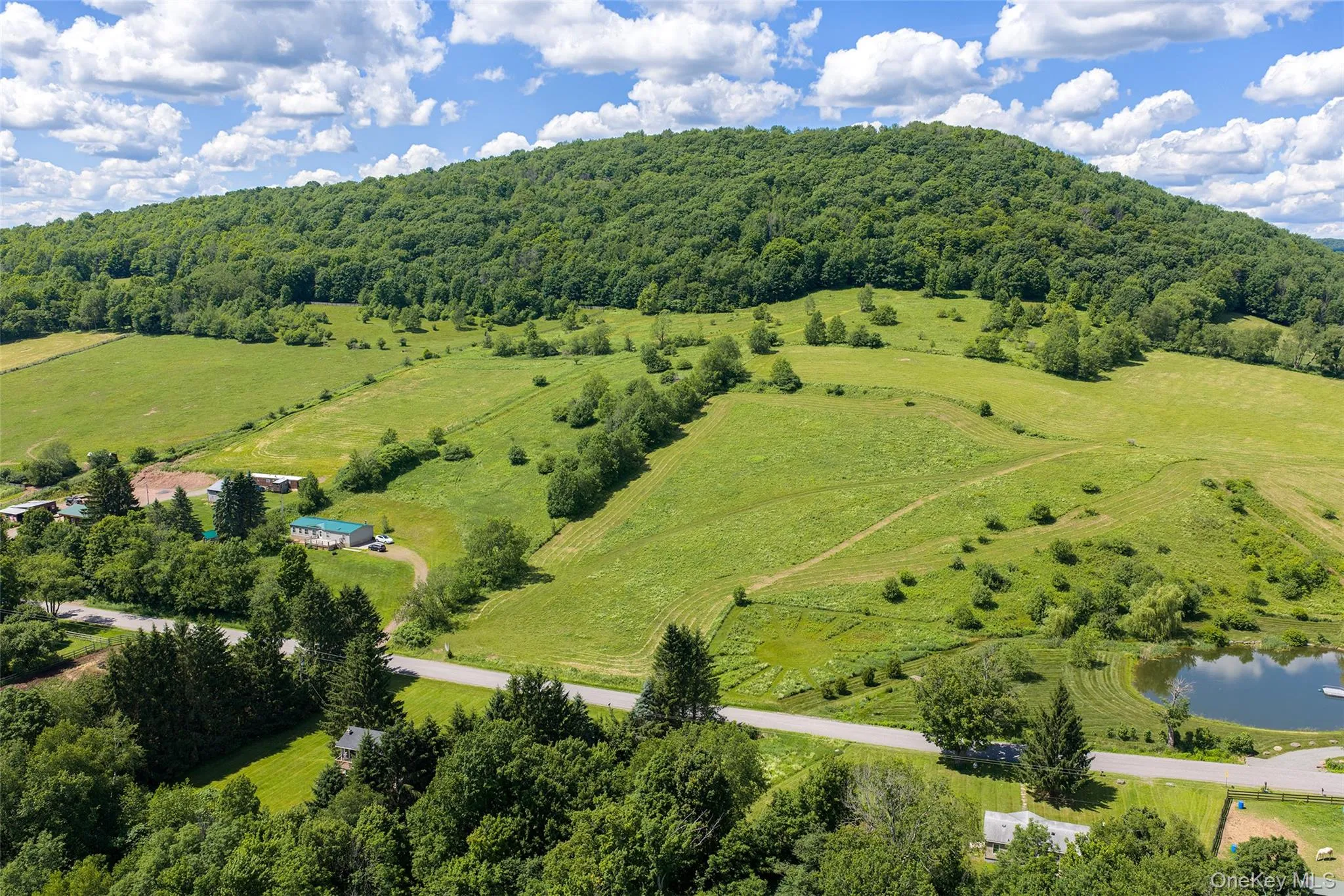 1780 Roses Brook Road, Stamford, NY, 3 Bedrooms Bedrooms, 9 Rooms Rooms,2 BathroomsBathrooms,Residential,For Rent,Roses Brook,0,1021475 1780 Roses Brook Road, Stamford, NY, 3 Bedrooms Bedrooms, 9 Rooms Rooms,2 BathroomsBathrooms,Residential,For Rent,Roses Brook,0,1021475