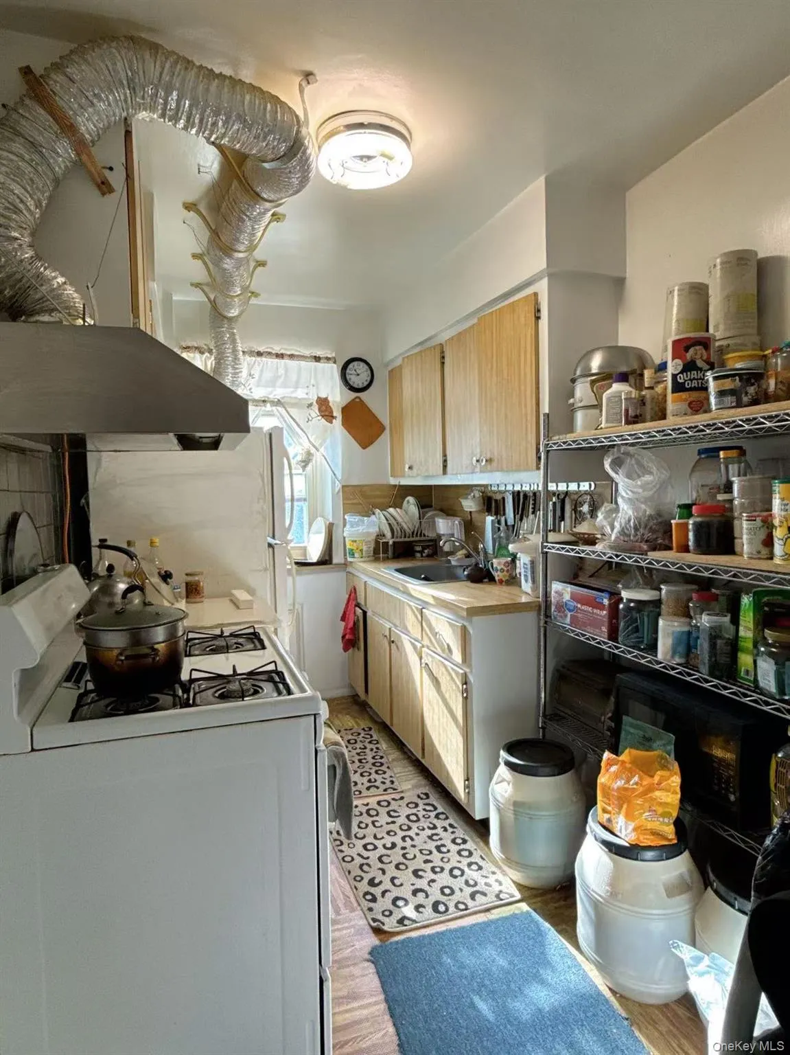 144-60 Gravett Street, New York, NY, 1 Bedroom Bedrooms, 4 Rooms Rooms,1 BathroomBathrooms,Residential,For Rent,Gravett,0,1021487 144-60 Gravett Street, New York, NY, 1 Bedroom Bedrooms, 4 Rooms Rooms,1 BathroomBathrooms,Residential,For Rent,Gravett,0,1021487