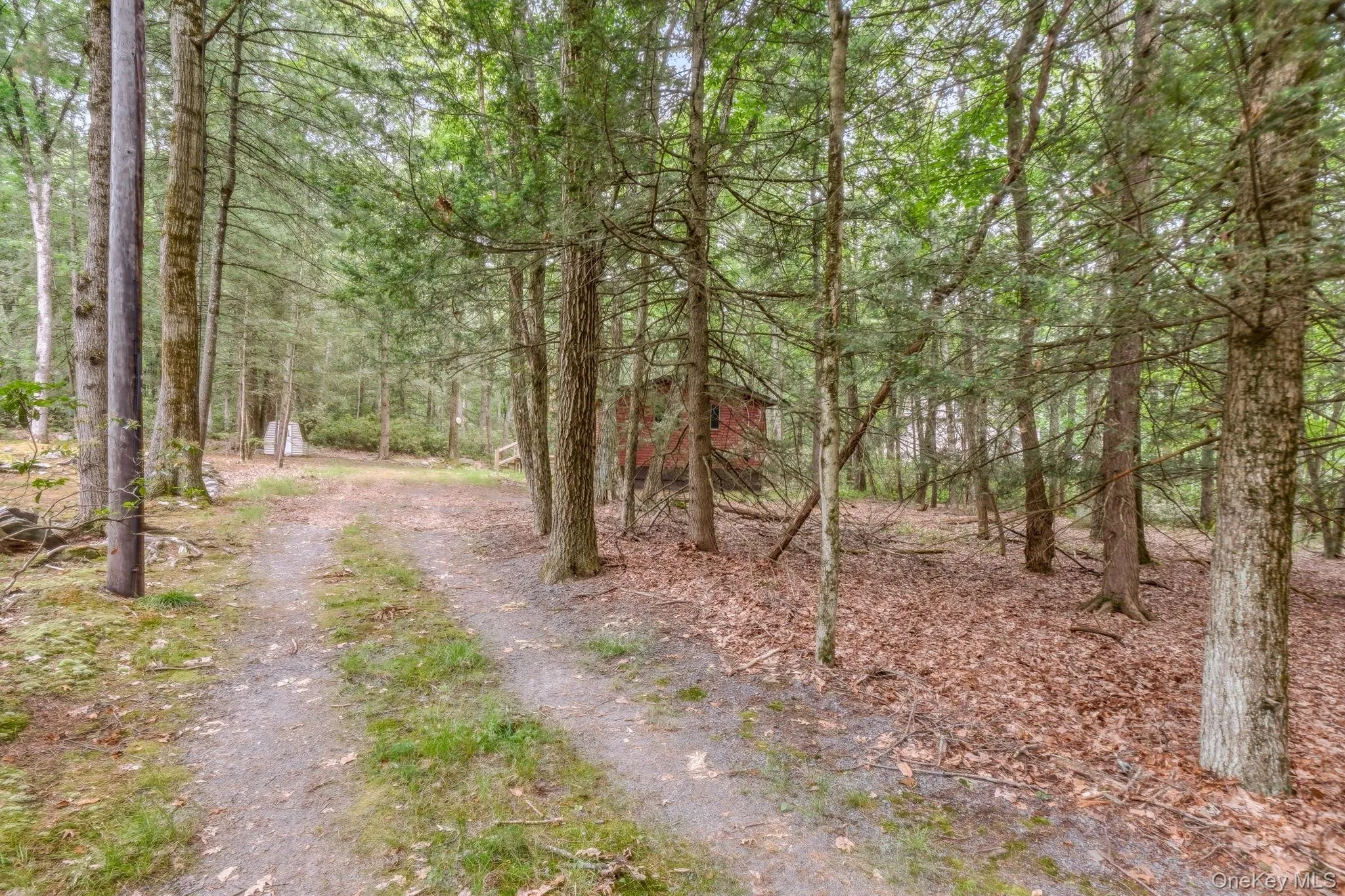 315 Shore Drive, Thompson, NY, 3 Bedrooms Bedrooms, 5 Rooms Rooms,1 BathroomBathrooms,Residential,For Rent,Shore,0,1021490 315 Shore Drive, Thompson, NY, 3 Bedrooms Bedrooms, 5 Rooms Rooms,1 BathroomBathrooms,Residential,For Rent,Shore,0,1021490