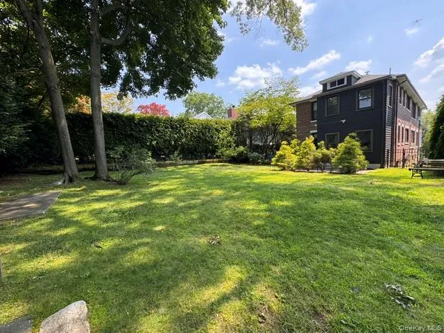 Expansive grassy lawn bordered by mature trees and a tall hedge Expansive grassy lawn bordered by mature trees and a tall hedge