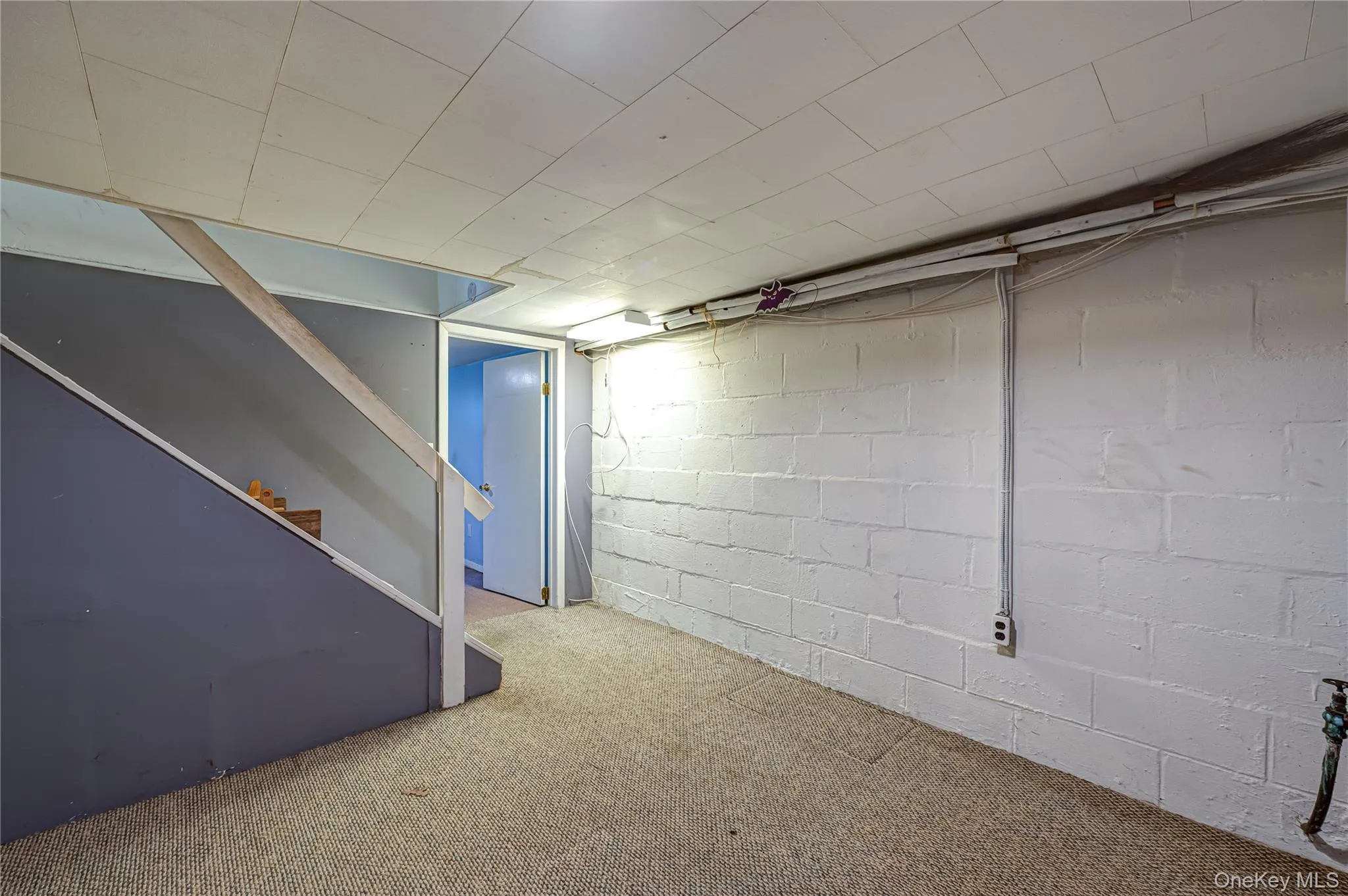 Room/Basement Room/Basement