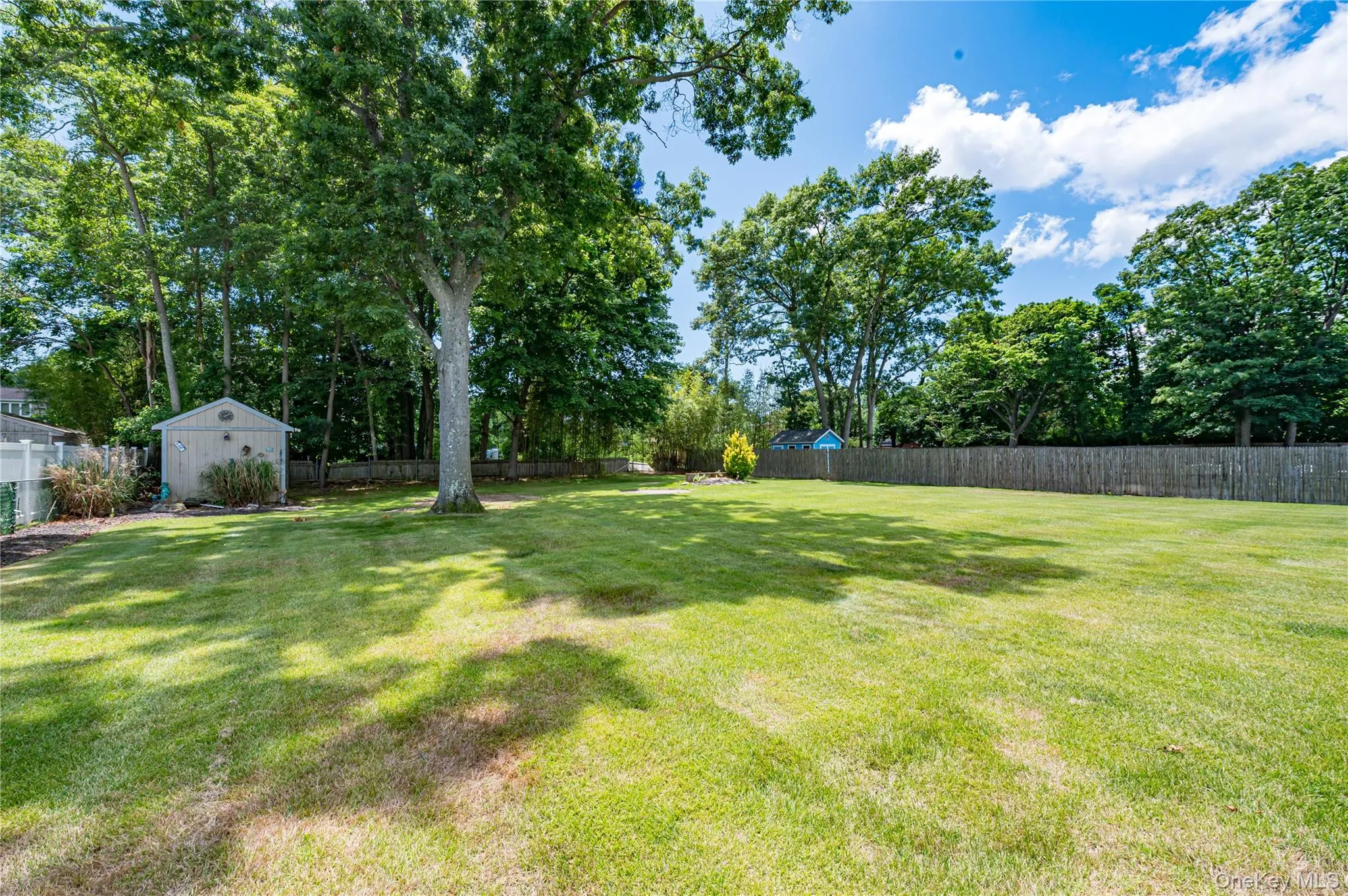 Fenced Backyard with Shed Fenced Backyard with Shed