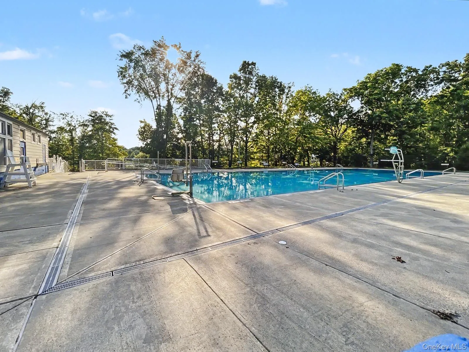 Swimming pool in the Davidge park Swimming pool in the Davidge park