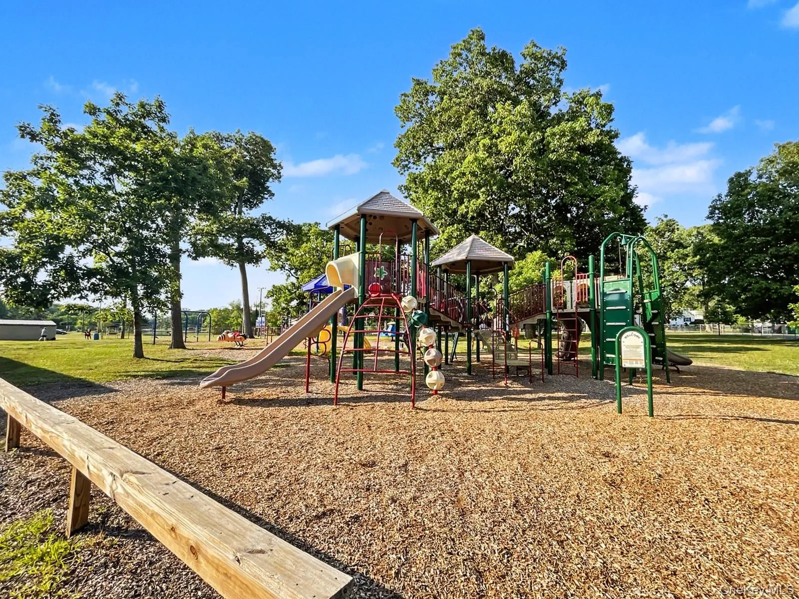Playground in the Davidge park Playground in the Davidge park