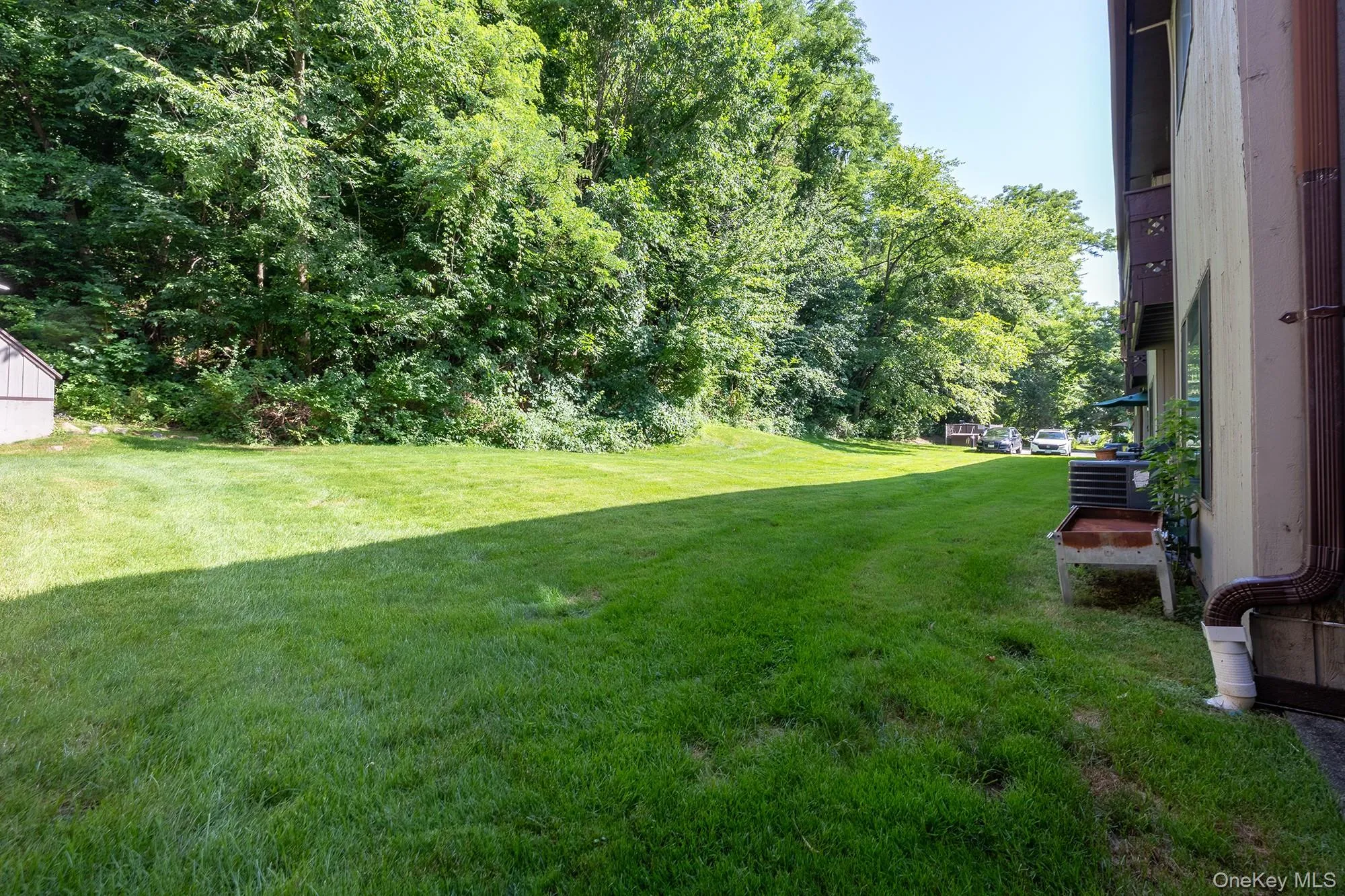 Backyard Backyard