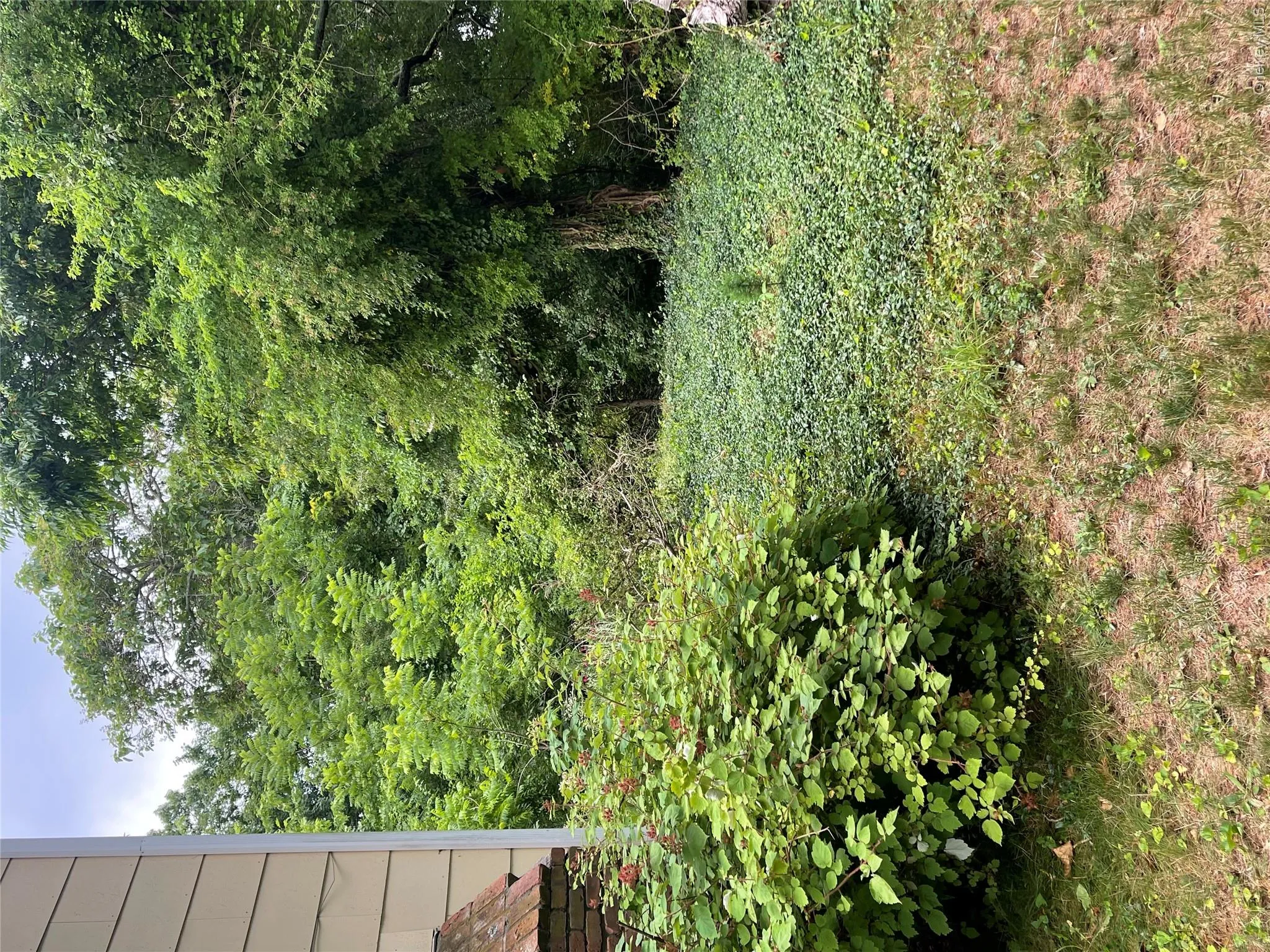 10 Starling Court, Brookhaven, NY, 3 Bedrooms Bedrooms, 6 Rooms Rooms,2 BathroomsBathrooms,Residential,For Rent,Starling,0,1021563 10 Starling Court, Brookhaven, NY, 3 Bedrooms Bedrooms, 6 Rooms Rooms,2 BathroomsBathrooms,Residential,For Rent,Starling,0,1021563