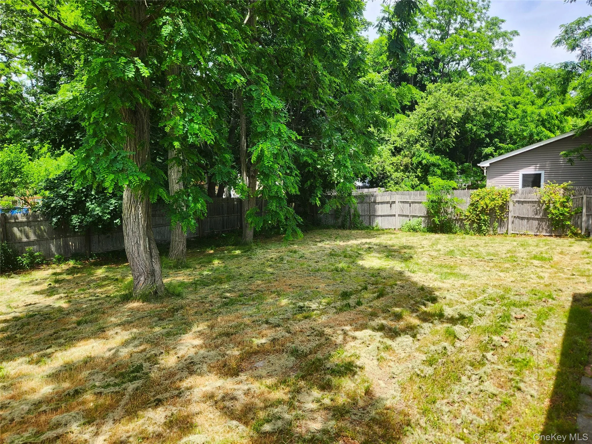 548 Taylor Avenue, Brookhaven, NY, 4 Bedrooms Bedrooms, 6 Rooms Rooms,1 BathroomBathrooms,Residential,For Rent,Taylor,0,1021579 548 Taylor Avenue, Brookhaven, NY, 4 Bedrooms Bedrooms, 6 Rooms Rooms,1 BathroomBathrooms,Residential,For Rent,Taylor,0,1021579