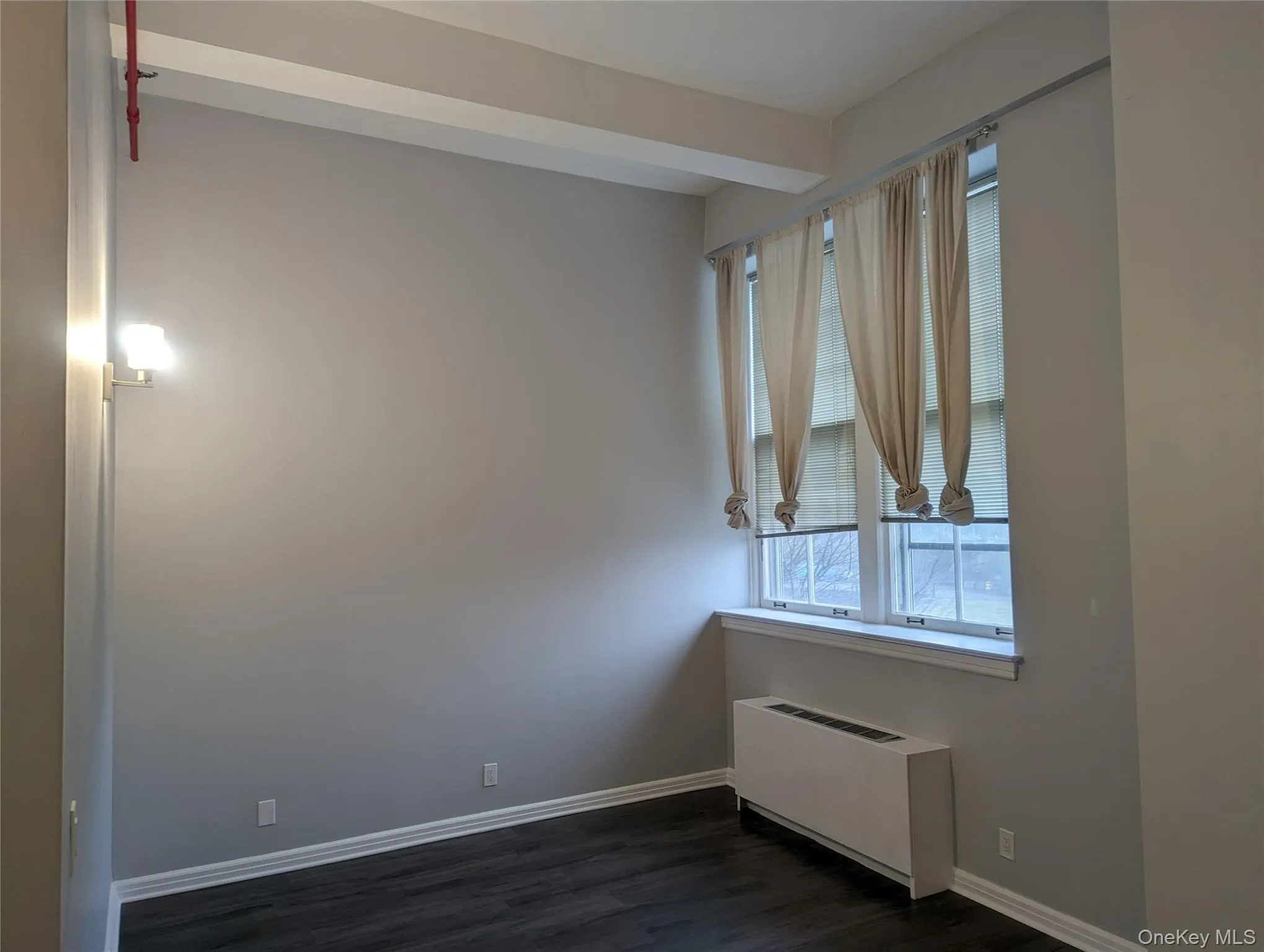 Room featuring wood-finish flooring, light grey wall paint, and white baseboards Room featuring wood-finish flooring, light grey wall paint, and white baseboards
